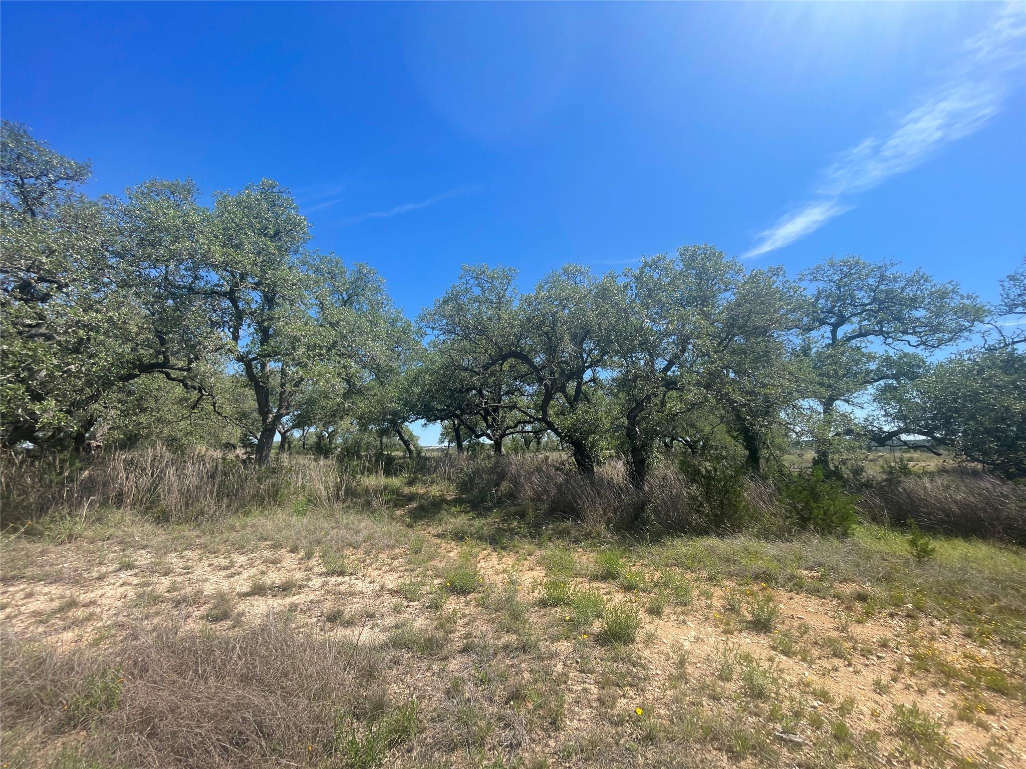 6500 Highway 290 Highway, Dripping Springs, TX 78620 photo 2