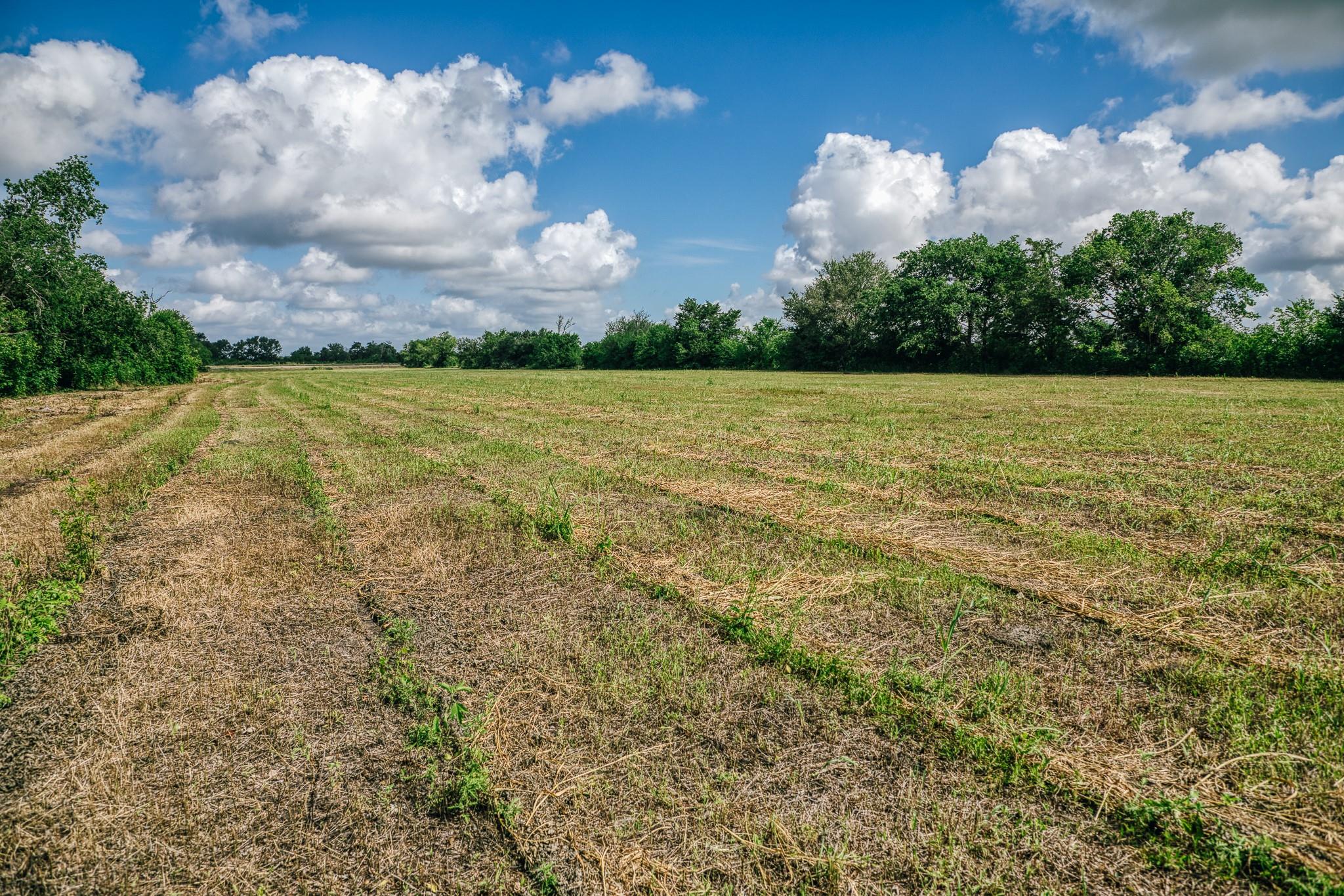 TBD FM 60, Snook, TX 77878 photo 5