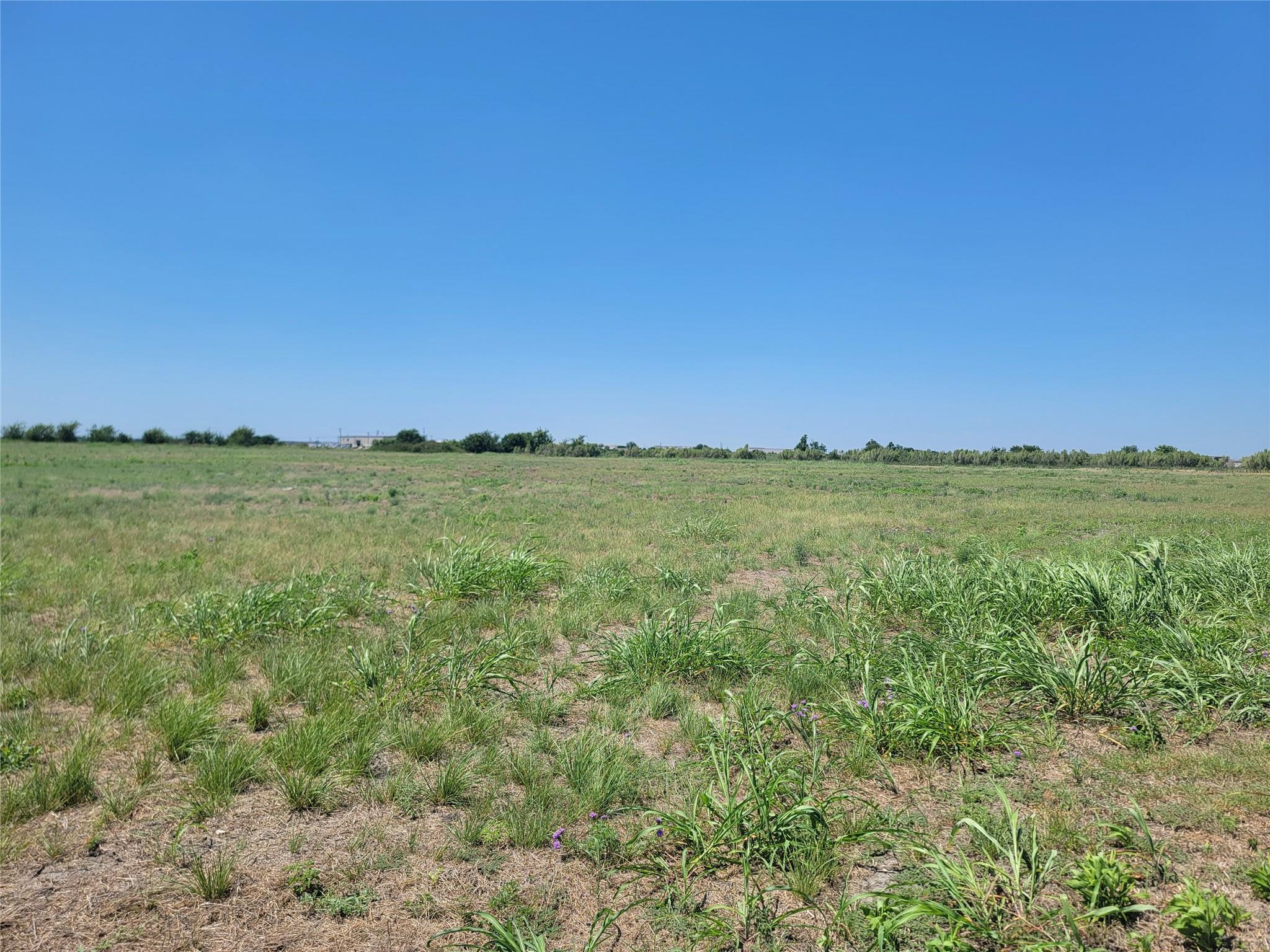 2315 Limmer LOOP, Hutto, TX 78634 photo 2