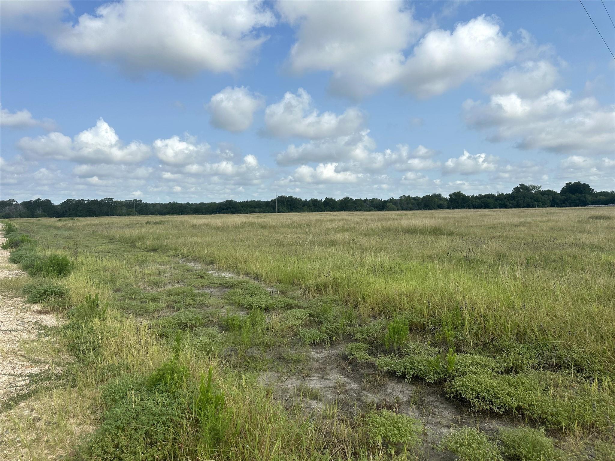 8345 Farm To Market 2145, La Grange, TX 78945 photo 5