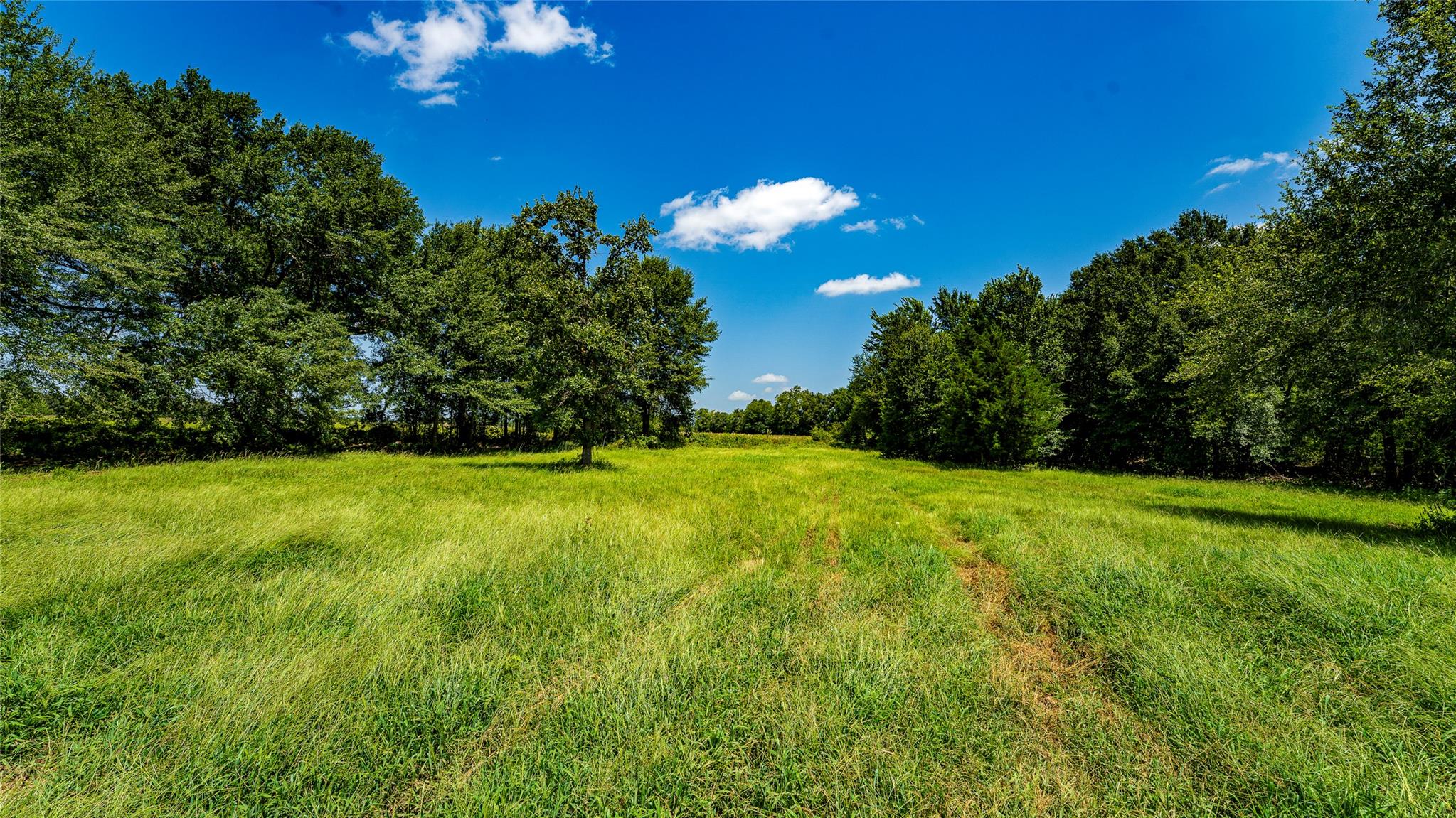TBD CR 357, Gause, TX 77857 photo 2