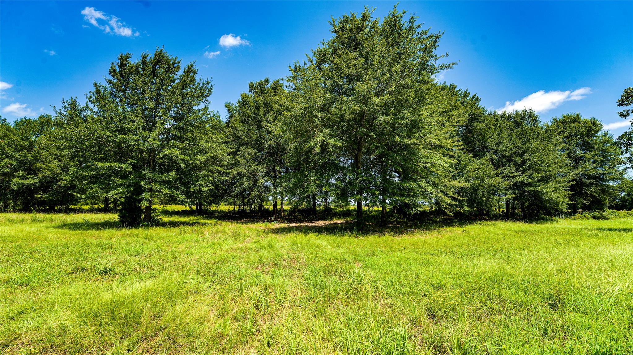 TBD CR 357, Gause, TX 77857 photo 3