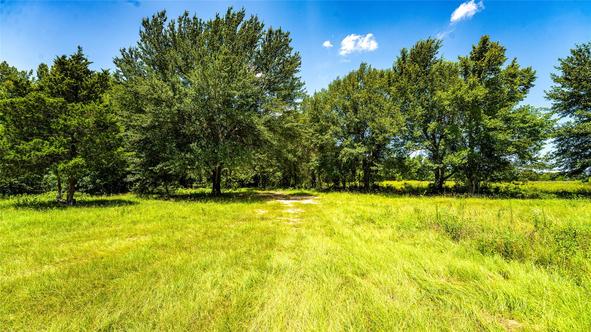 TBD CR 357, Gause, TX 77857 photo 4
