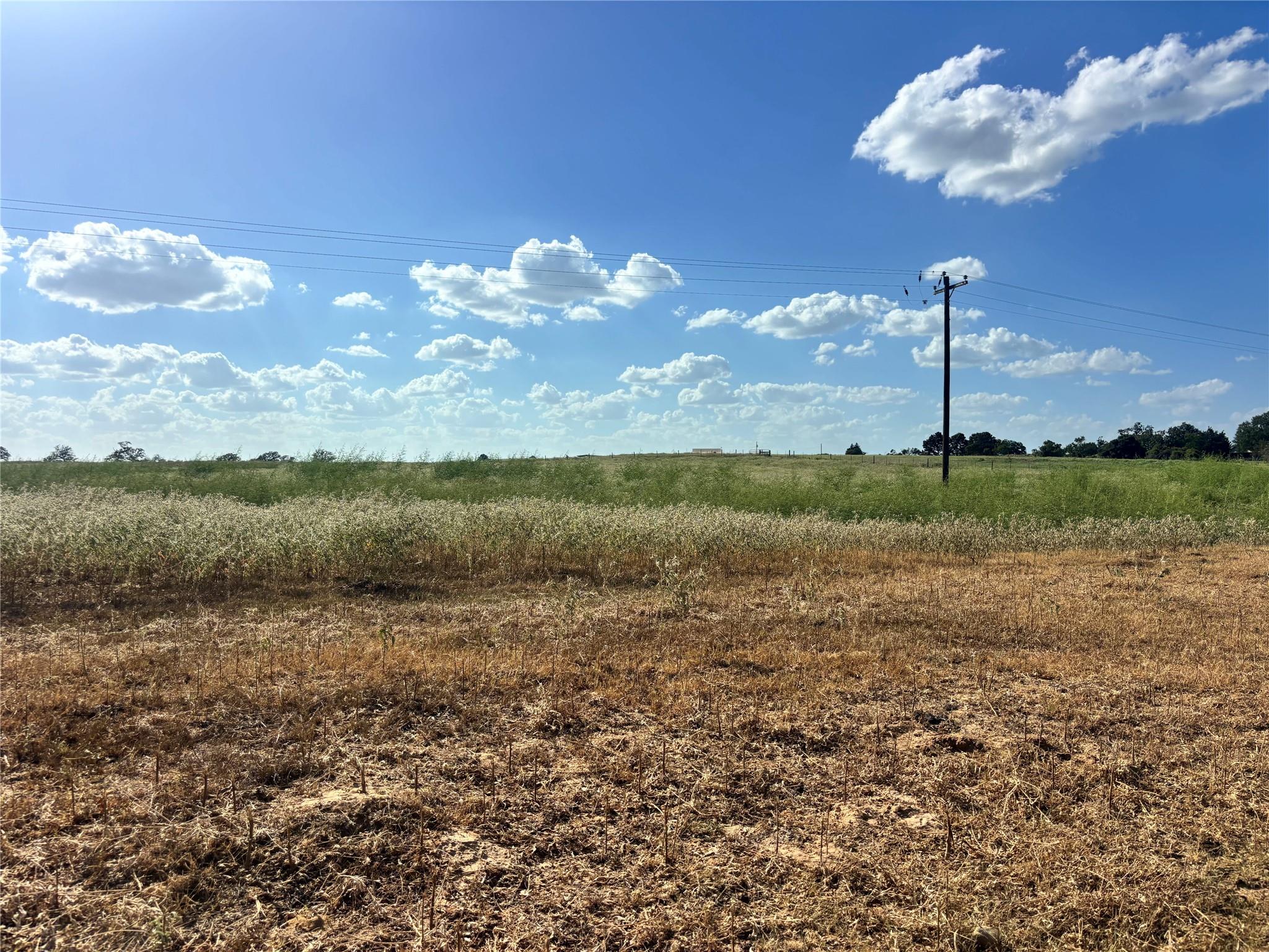 TBD County Road 326 - Tract 2, Giddings, TX 78942 photo 2
