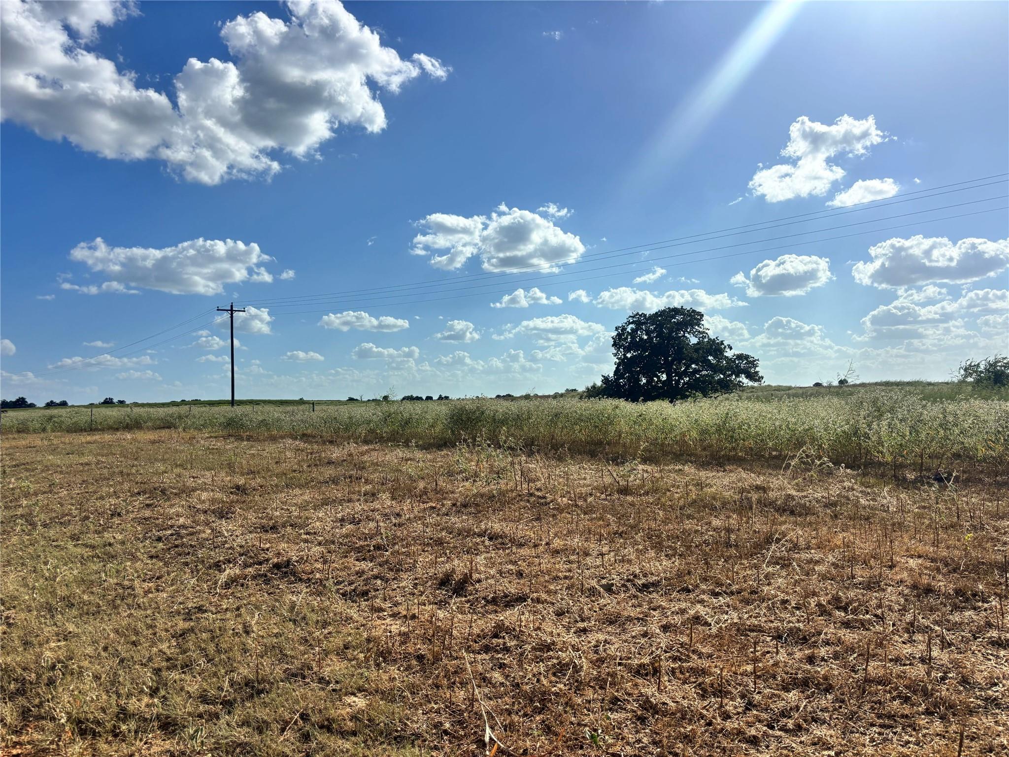 TBD County Road 326 - Tract 2, Giddings, TX 78942 photo 3