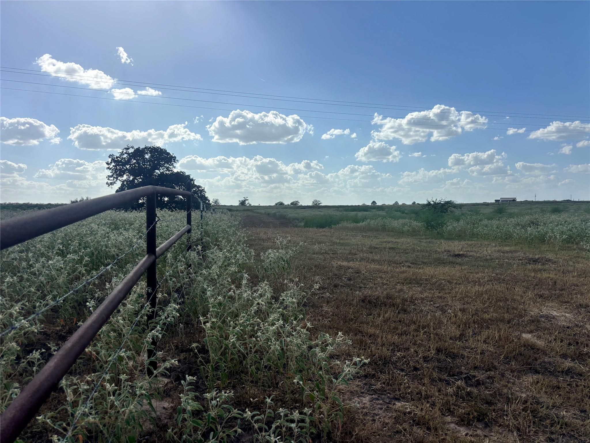 TBD County Road 326 - Tract 2, Giddings, TX 78942 photo 4