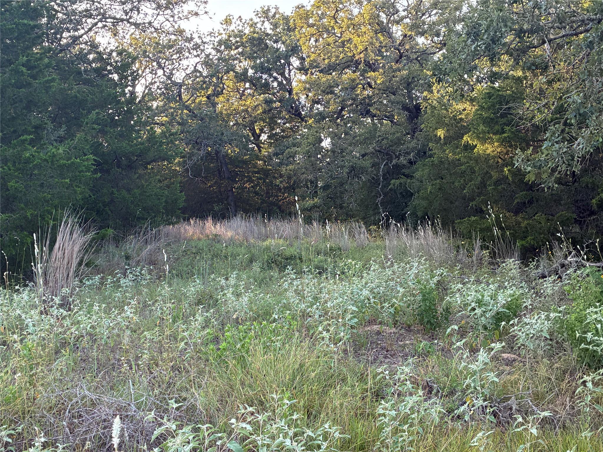 2933 County Road 457, Thorndale, TX 76577 photo 5