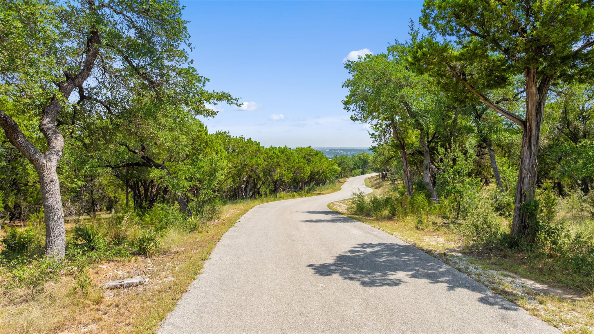 201 Angel Light DR, Spicewood, TX 78669 photo 5