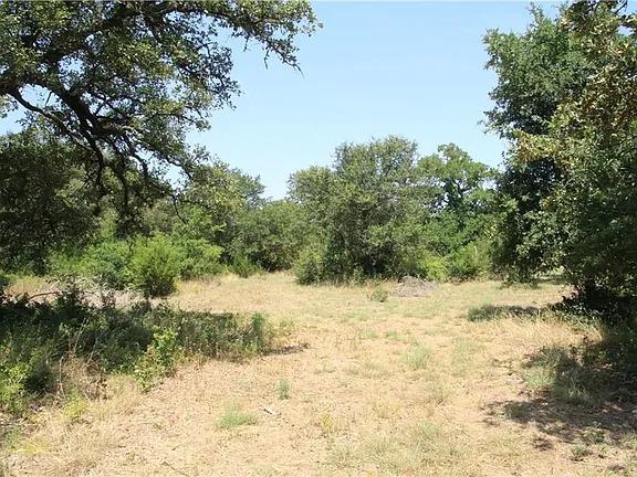 580 Whisper LN, Georgetown, TX 78628 photo 4