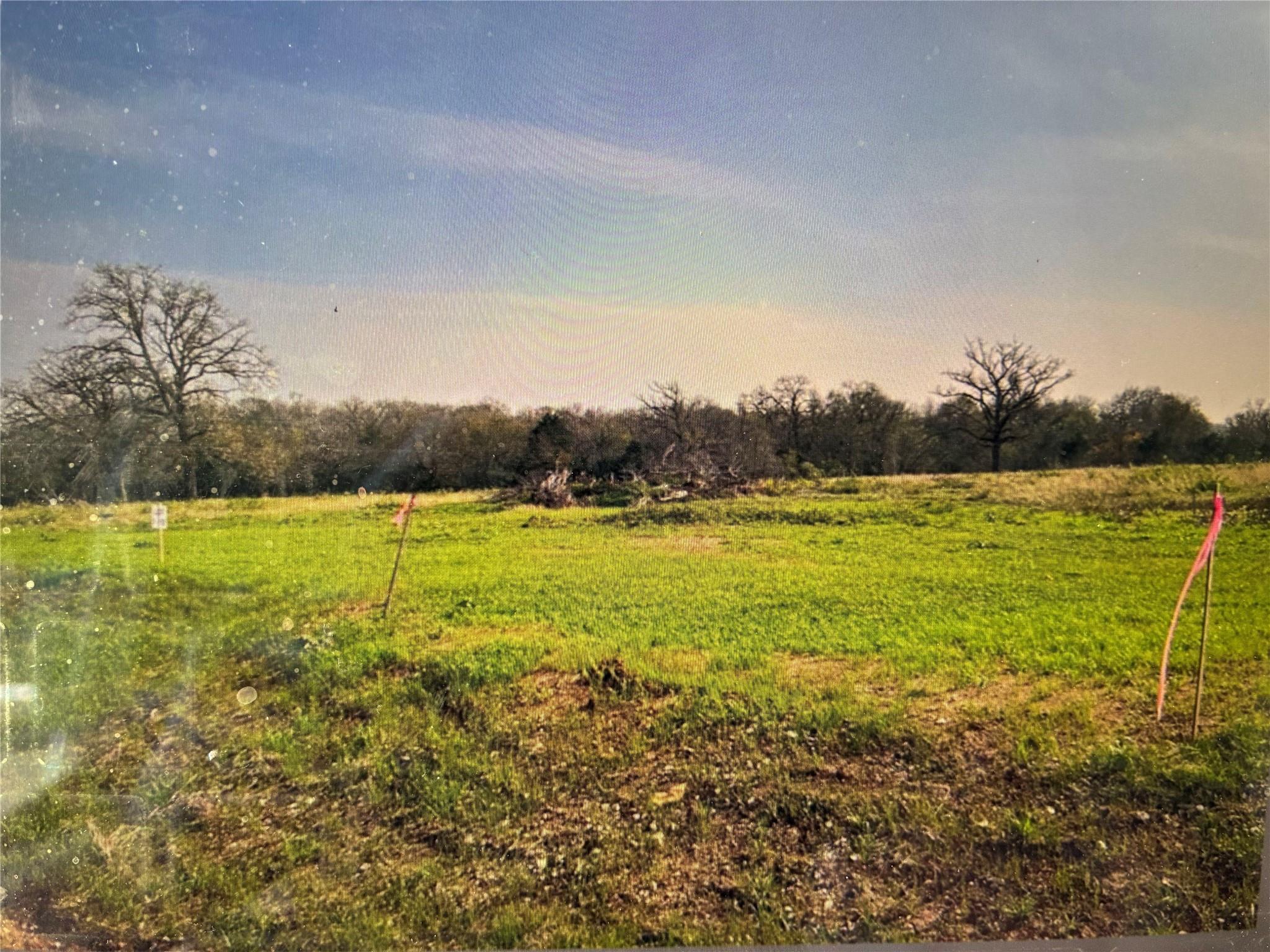 19032 FM 86 #1-12, Red Rock, TX 78662 photo 3