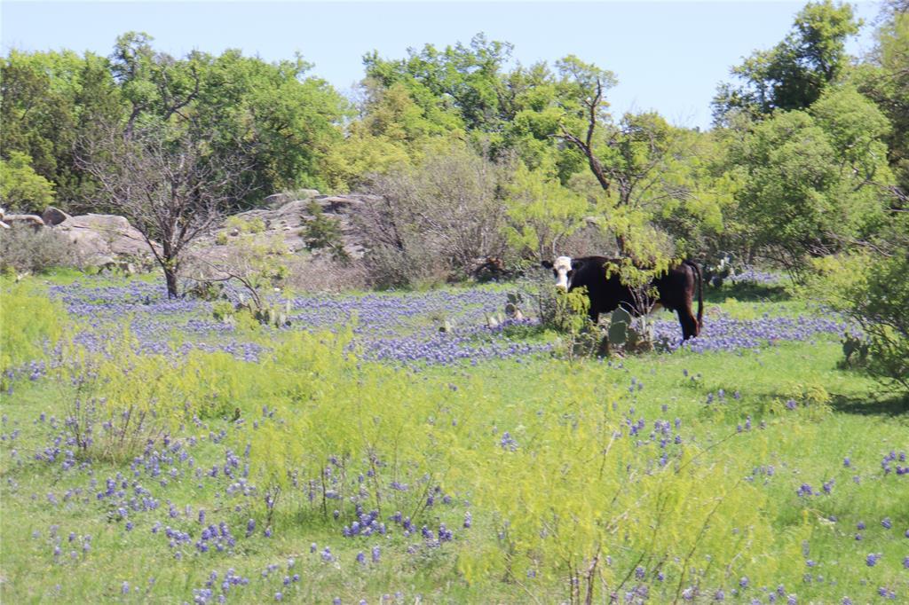 2655 Welgehausen RD, Fredericksburg, TX 78624 photo 2