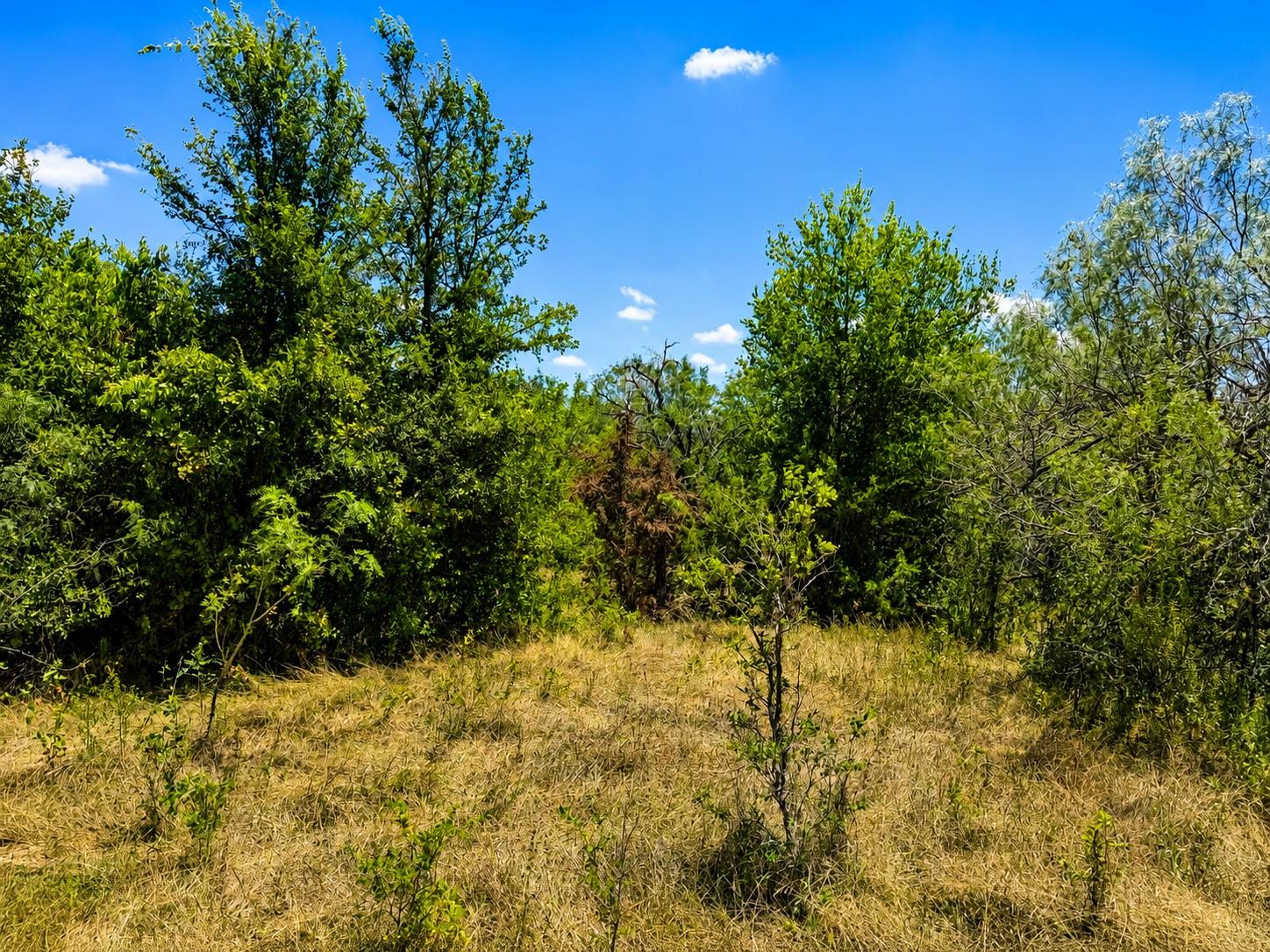221 Fawn Ridge RD, Cedar Creek, TX 78612 photo 5