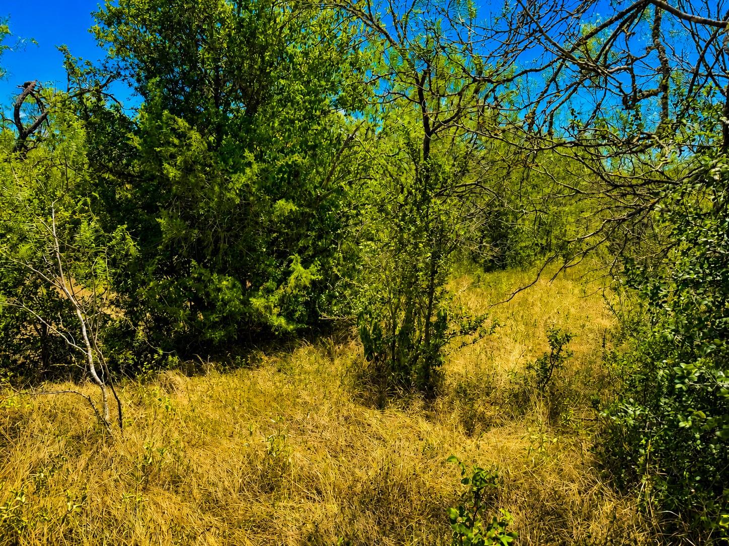 221 Fawn Ridge RD, Cedar Creek, TX 78612 photo 4