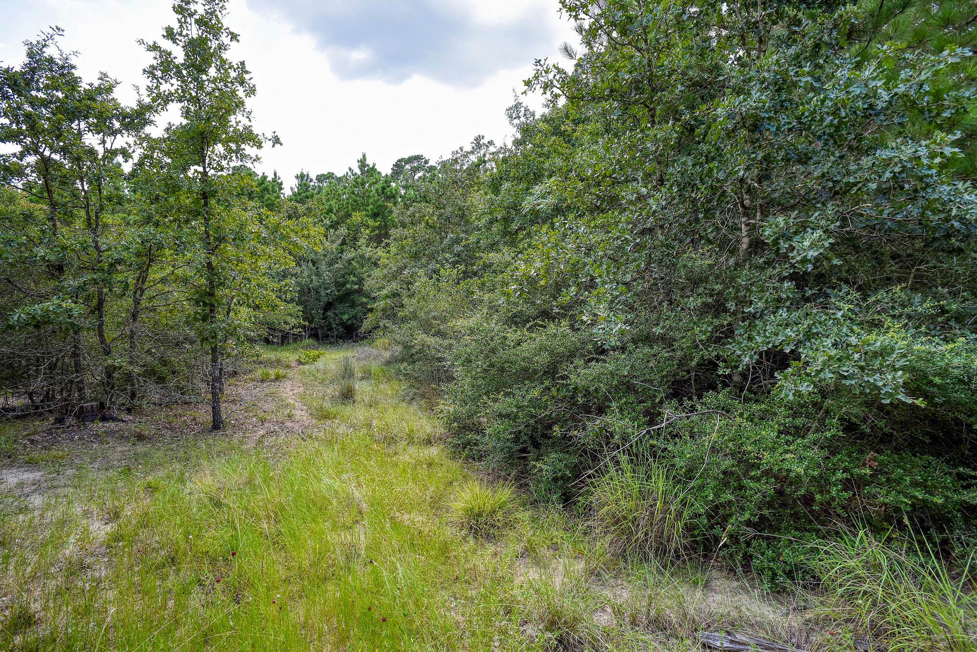 TBD Kipahulu DR #2, Bastrop, TX 78602 photo 2