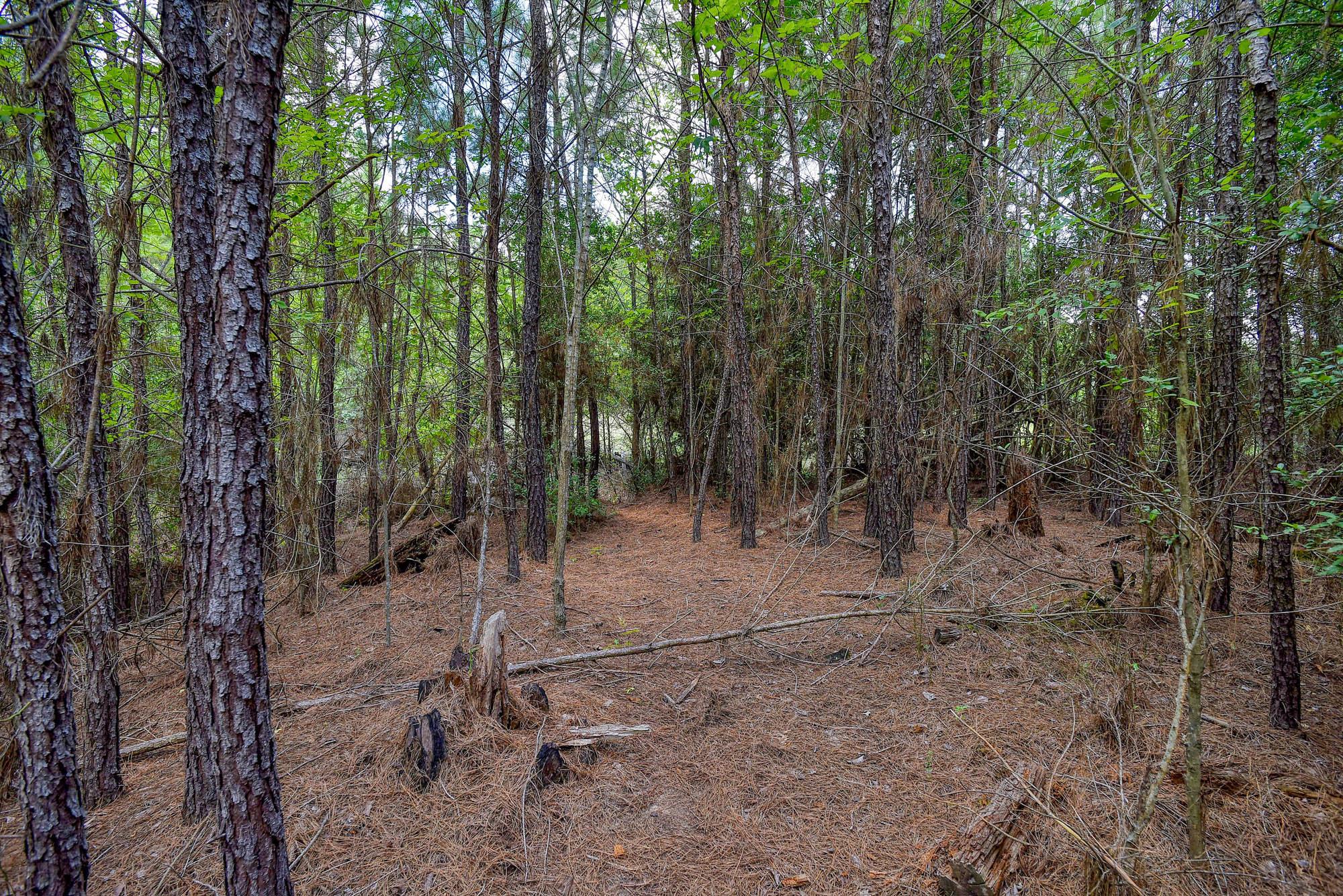TBD Kipahulu DR #2, Bastrop, TX 78602 photo 4