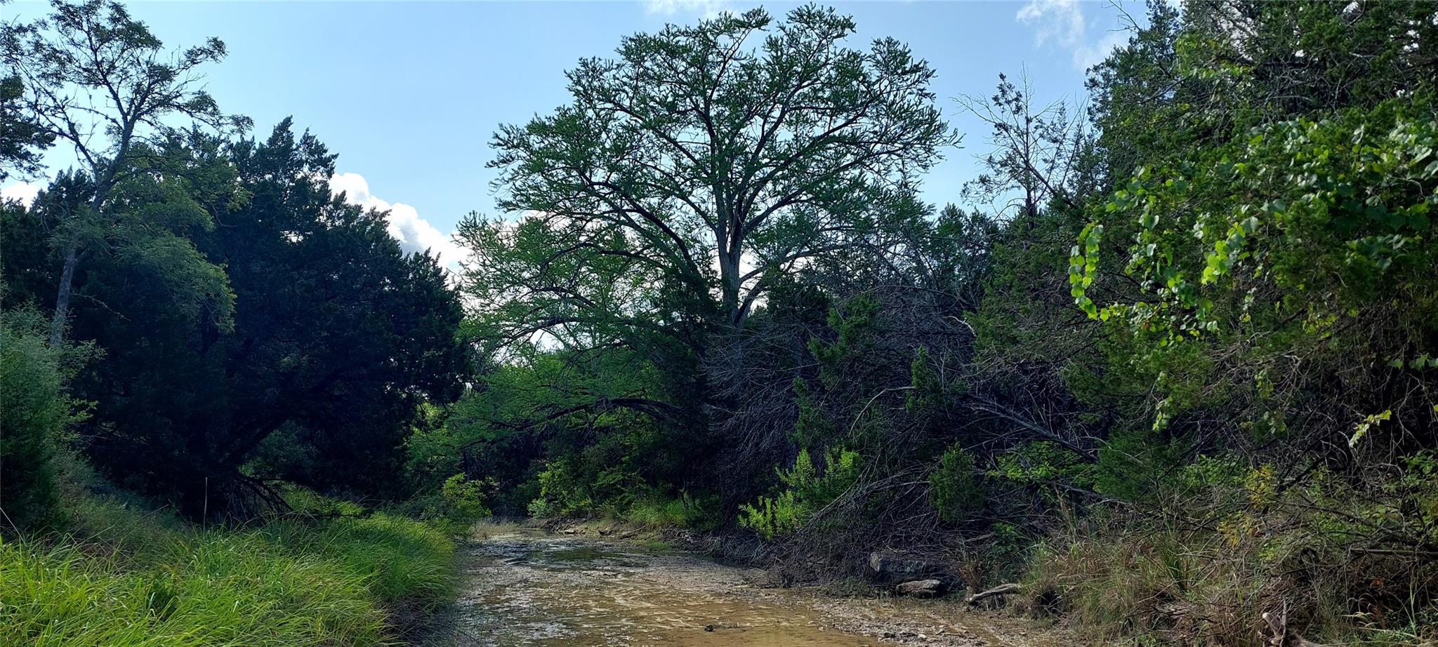 00000 Brinkley DR, Wimberley, TX 78676 photo 2