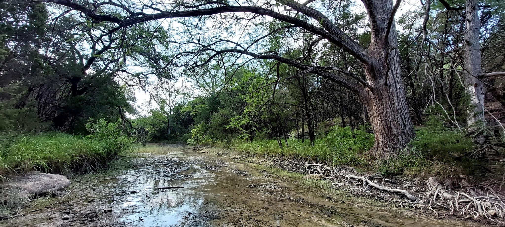 00000 Brinkley DR, Wimberley, TX 78676 photo 3