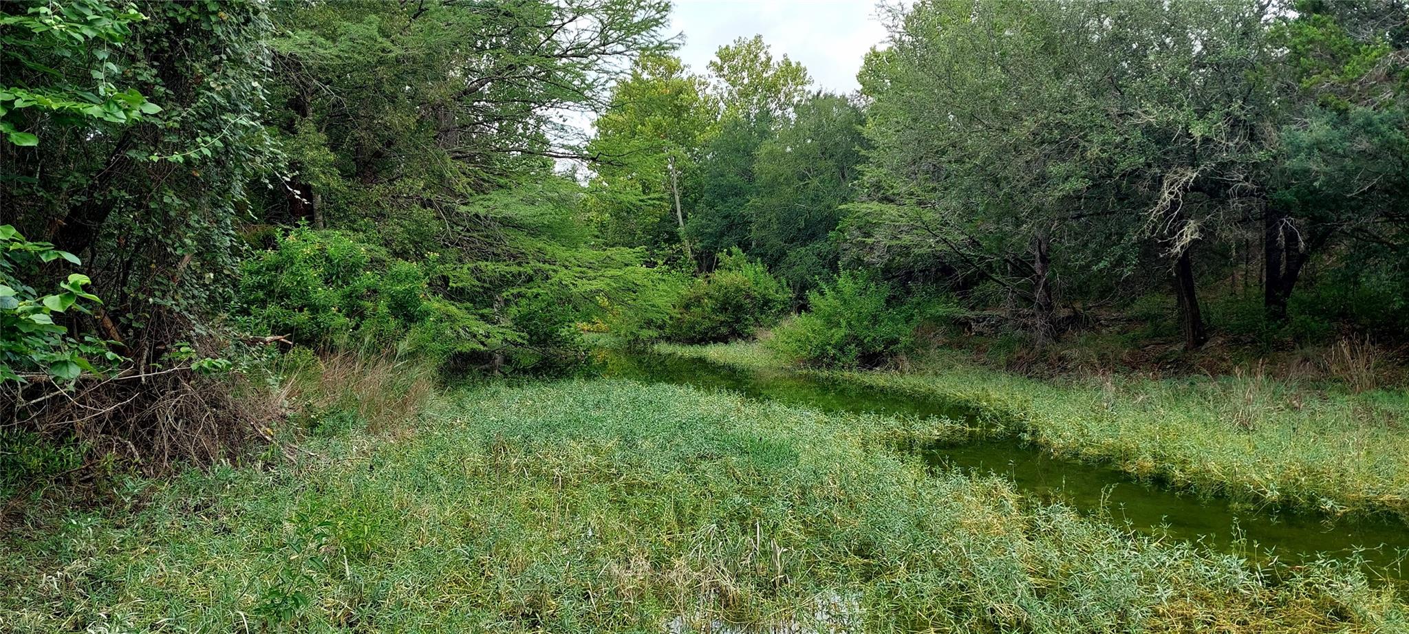 00000 Brinkley DR, Wimberley, TX 78676 photo 4
