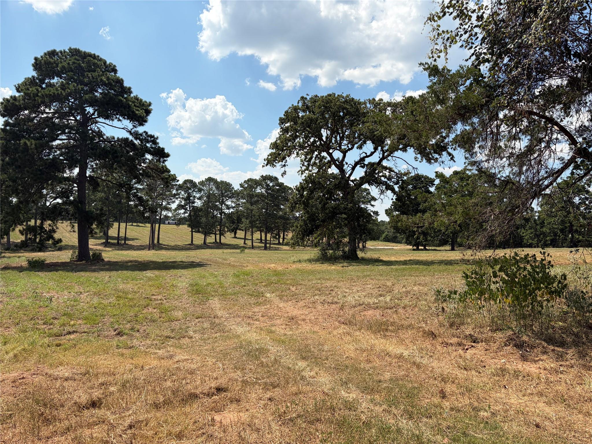 170 Split Oak RD, Smithville, TX 78957 photo 5