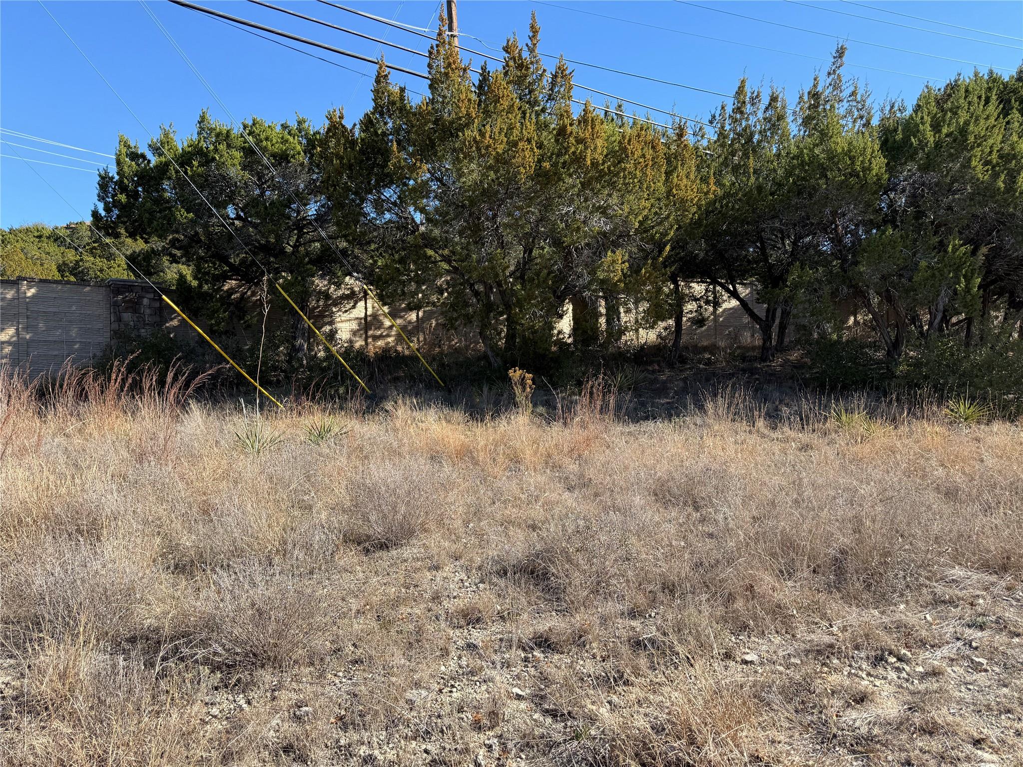 14410 Geronimo, Leander, TX 78641 photo 2