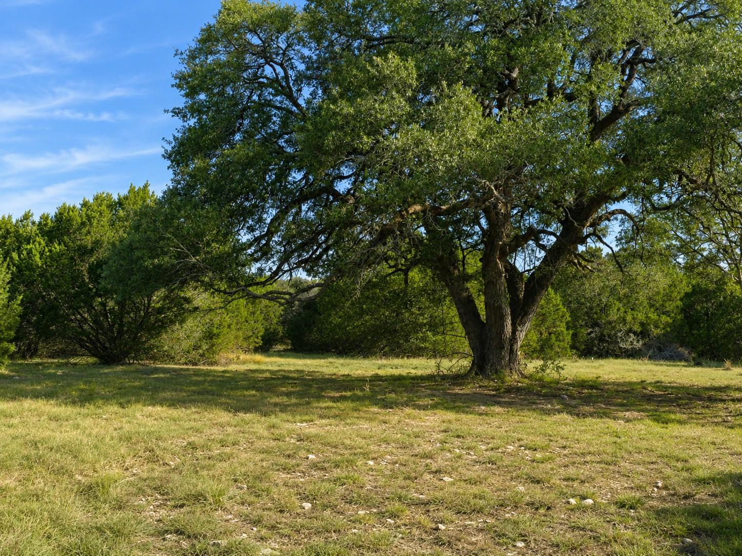 736 CR 206, Lampasas, TX 76550 photo 3