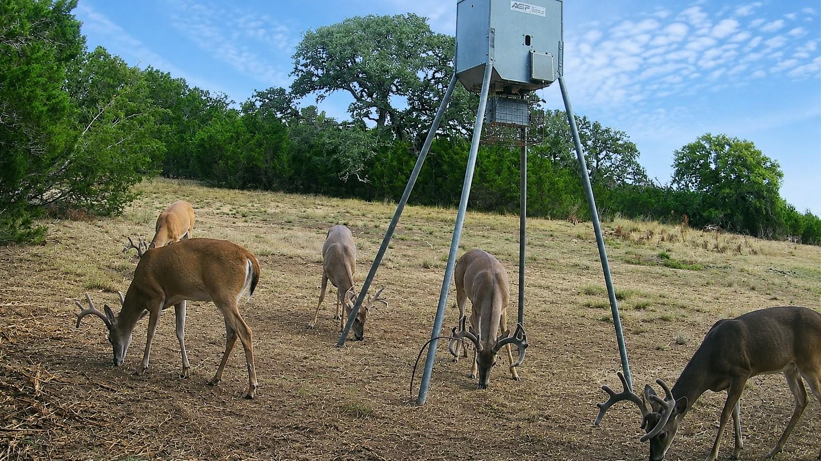 736 CR 206, Lampasas, TX 76550 photo 5