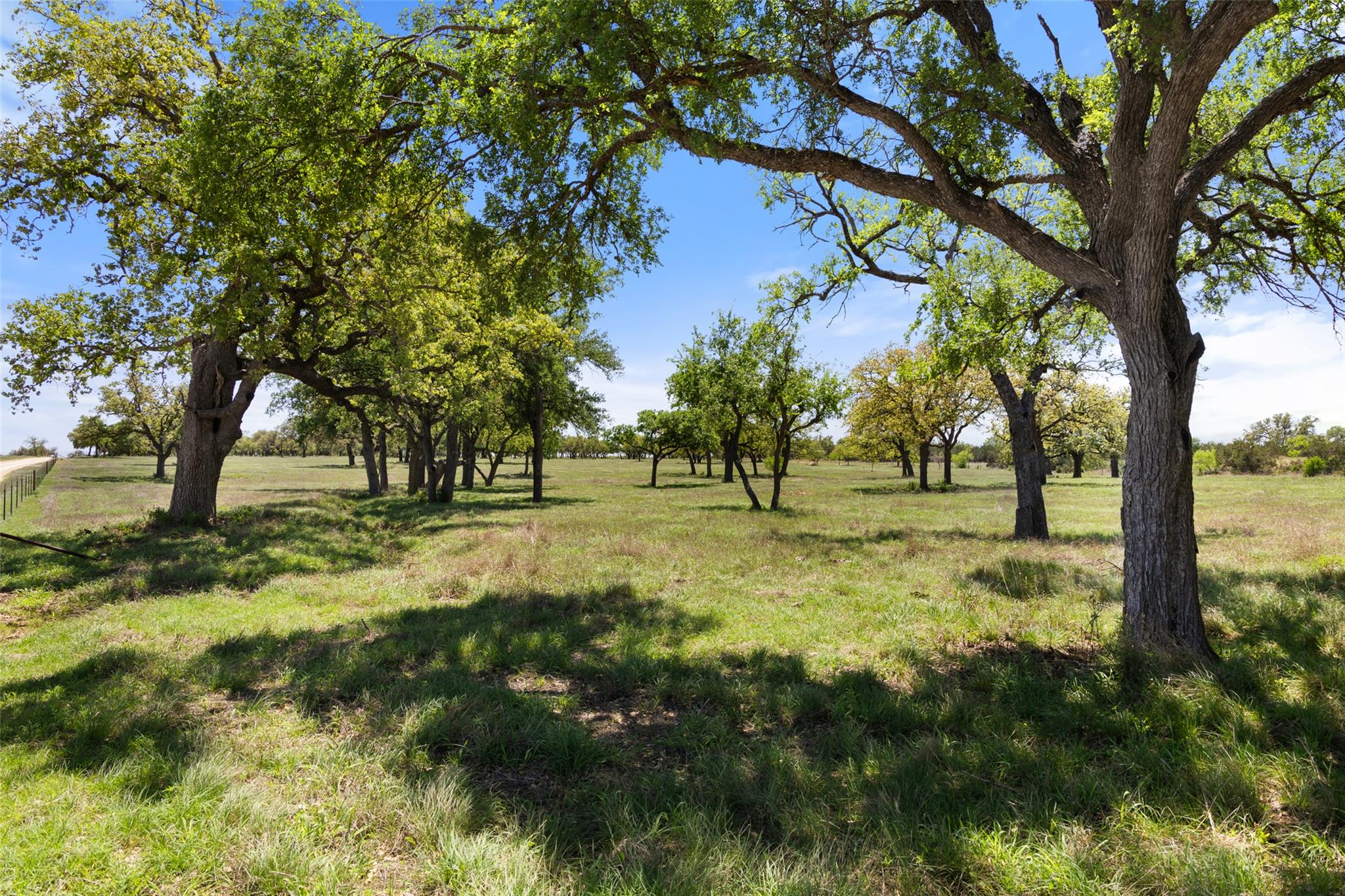 1701 Gipson Rd, Johnson City, TX 78636 photo 2