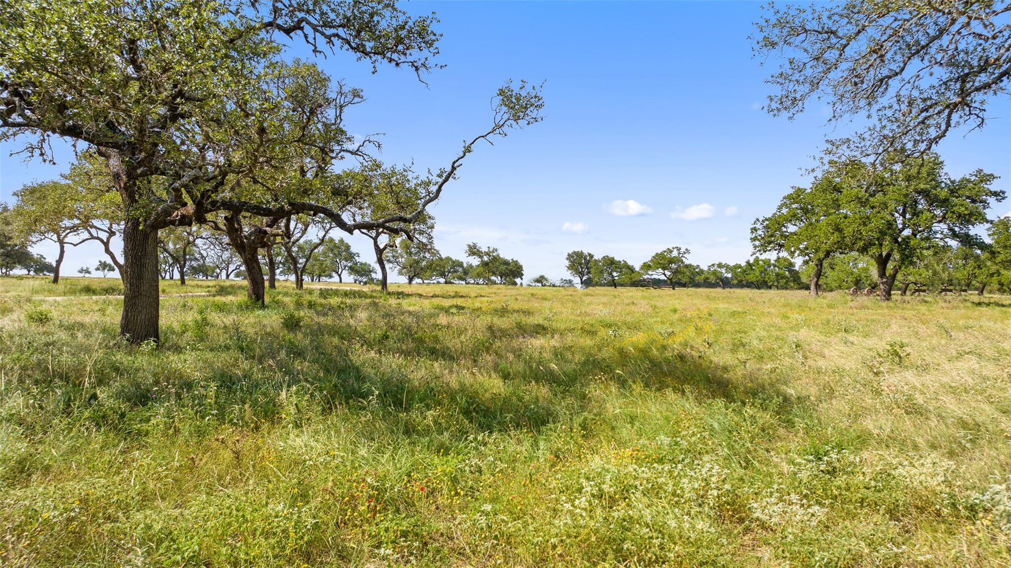 1701 Gipson Rd, Johnson City, TX 78636 photo 4