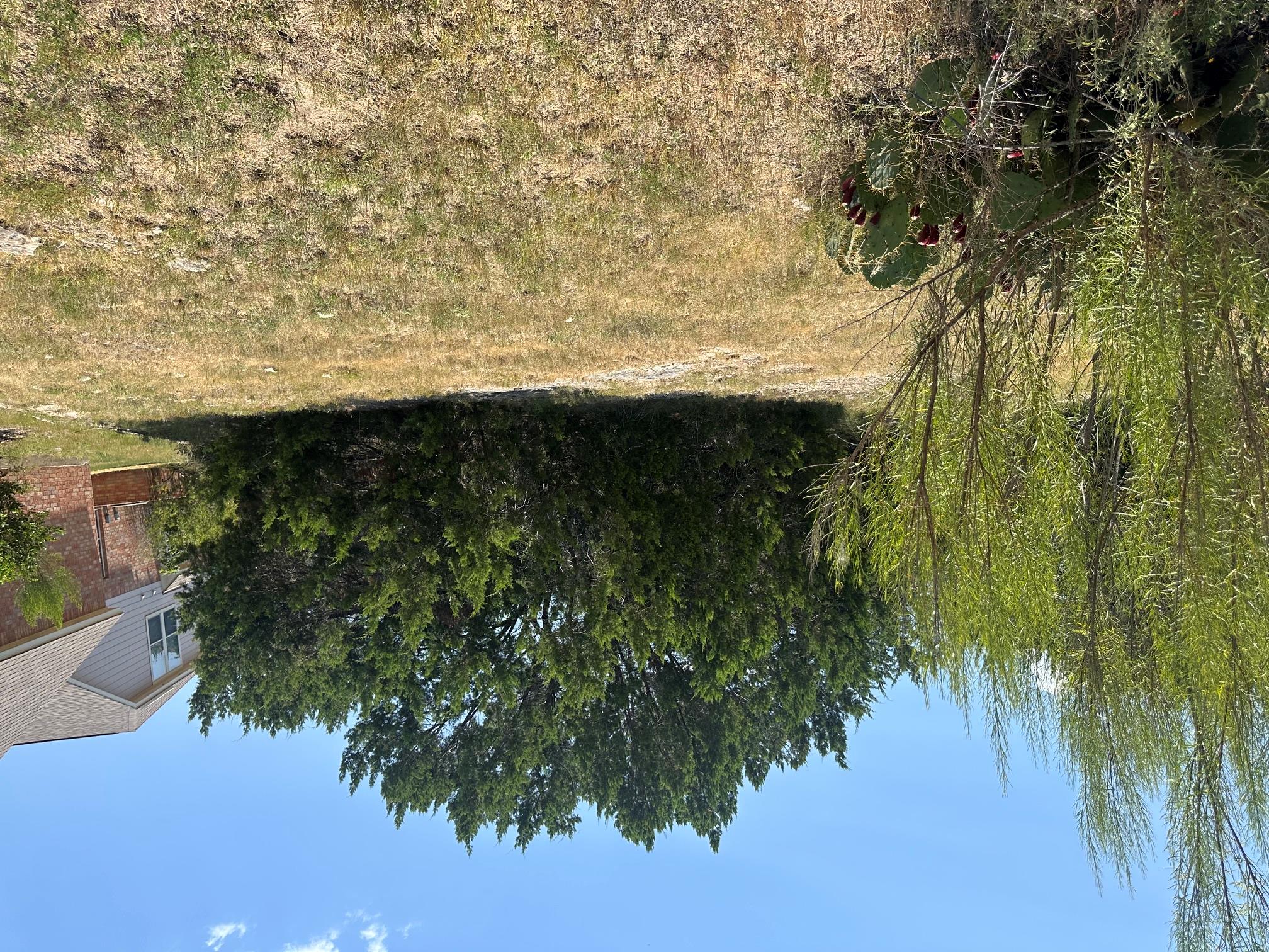 Cardinal Hills Unit 04A