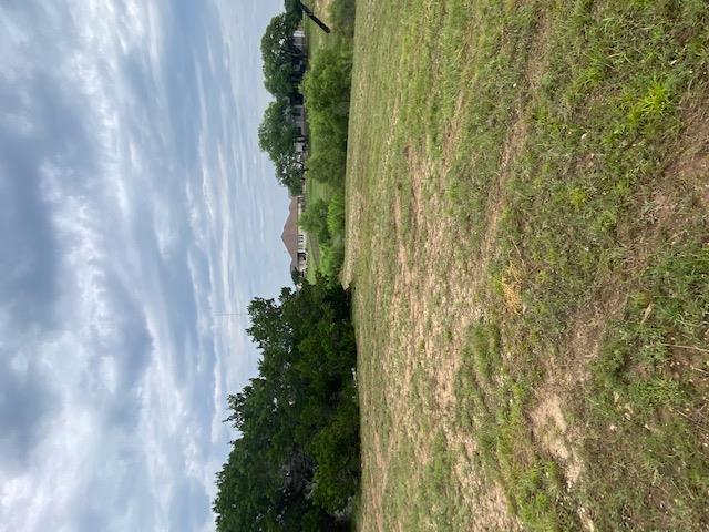 600 Buffalo TRL, Liberty Hill, TX 78642 photo 5