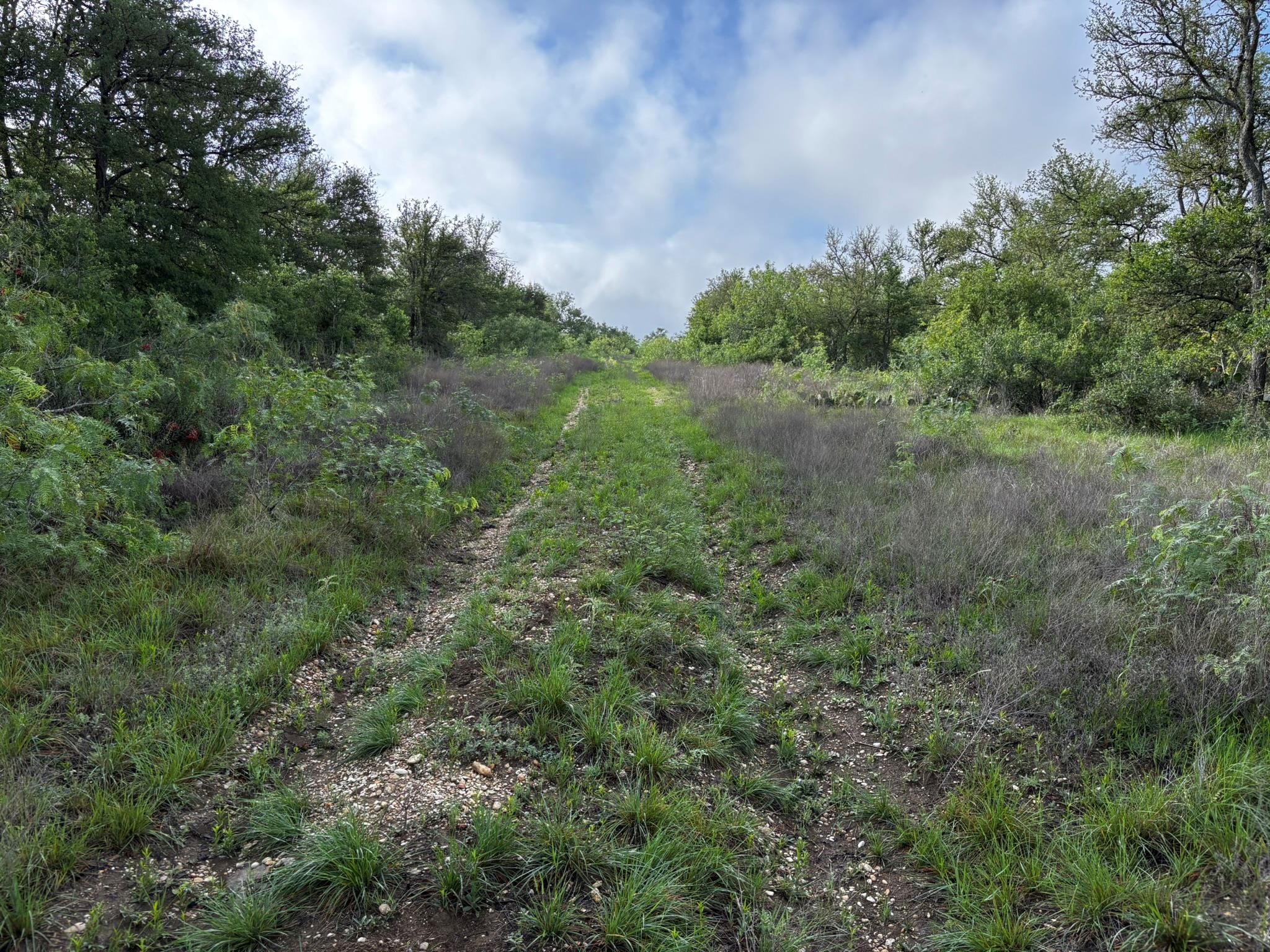 805 County Road 467, Thrall, TX 76578 photo 3