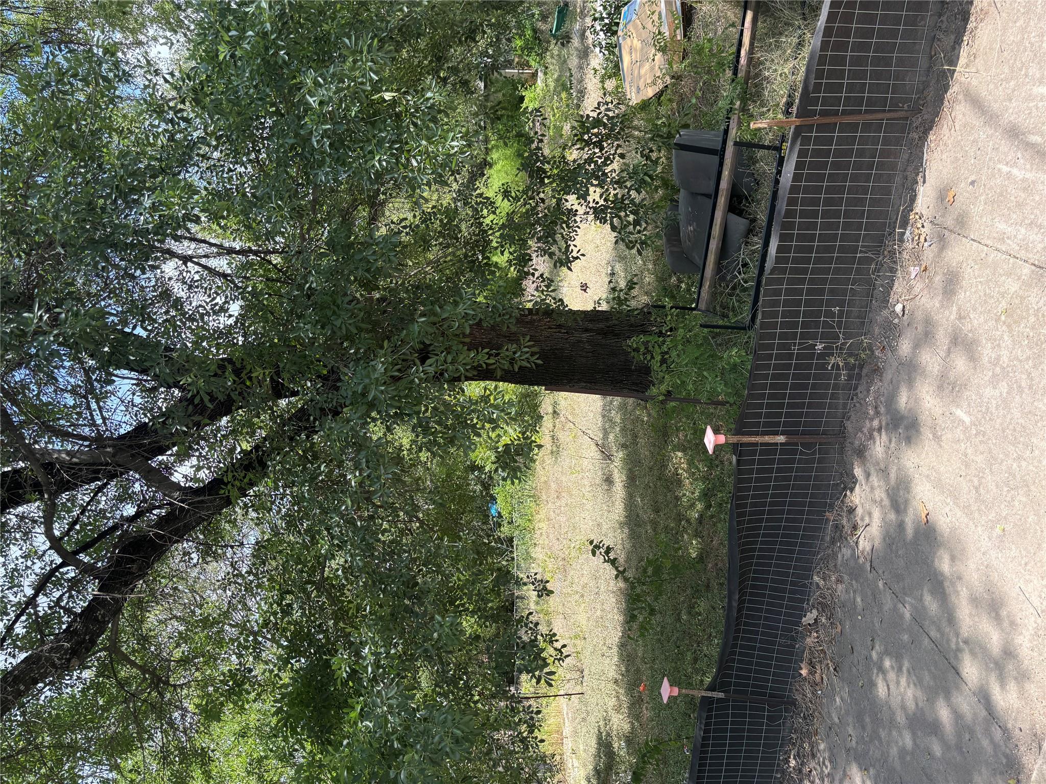9301 Georgian DR, Austin, TX 78753 photo 3