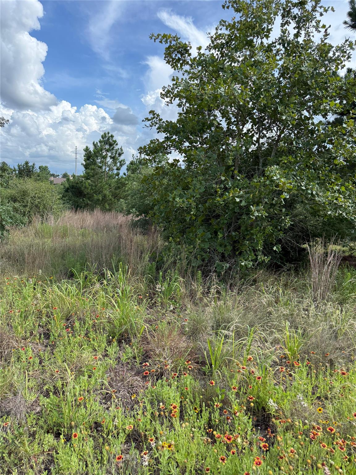 Lots 89-90 Pintail LN, Bastrop, TX 78602 photo 2