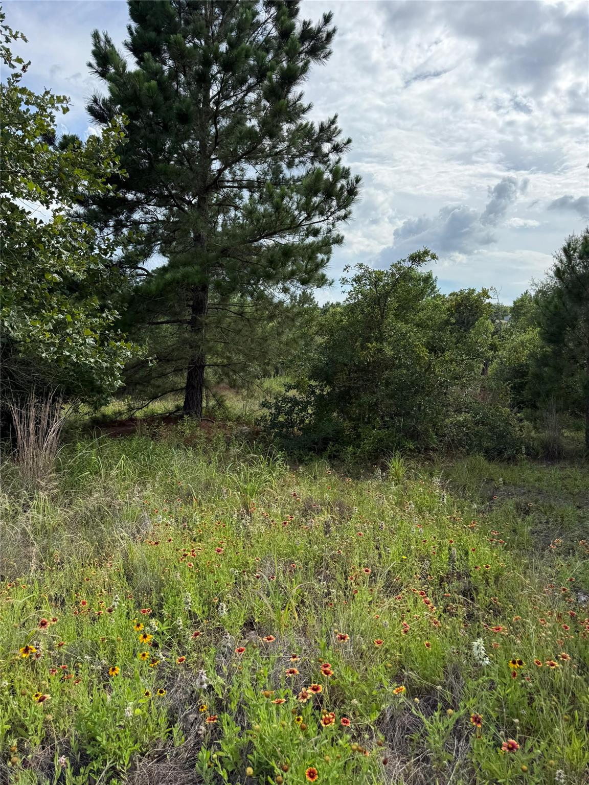 Lots 89-90 Pintail LN, Bastrop, TX 78602 photo 3