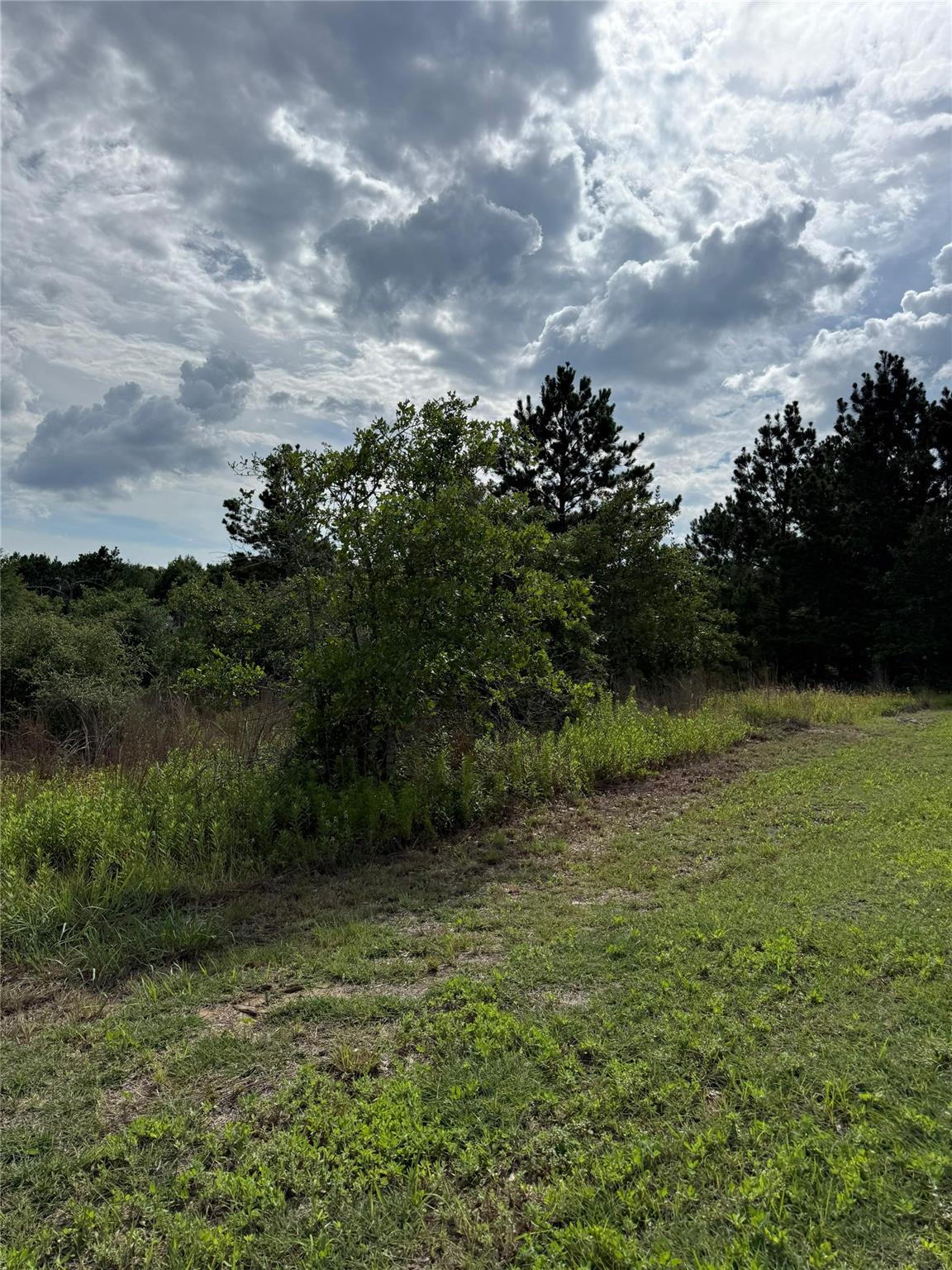 Lots 89-90 Pintail LN, Bastrop, TX 78602 photo 5