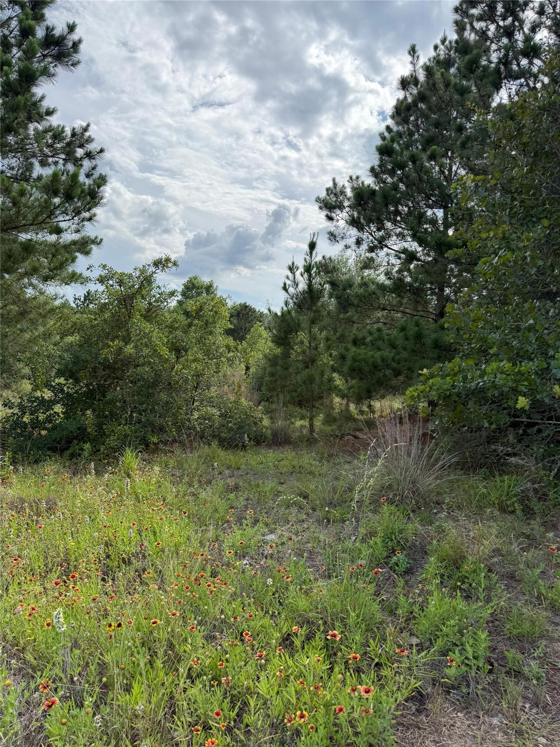 Lots 89-90 Pintail LN, Bastrop, TX 78602 photo 4