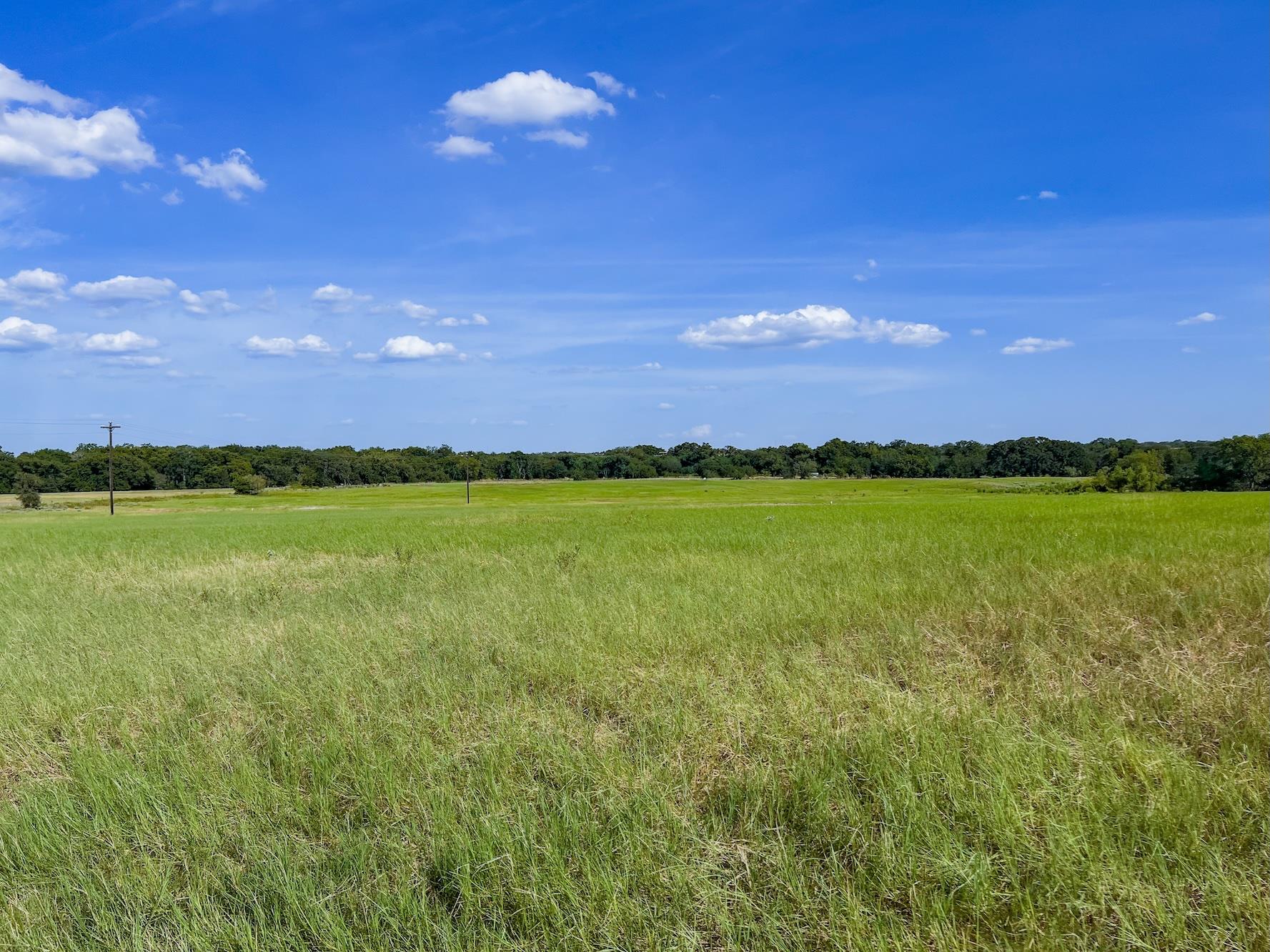 0001 Old McMahan RD, Lockhart, TX 78644 photo 3