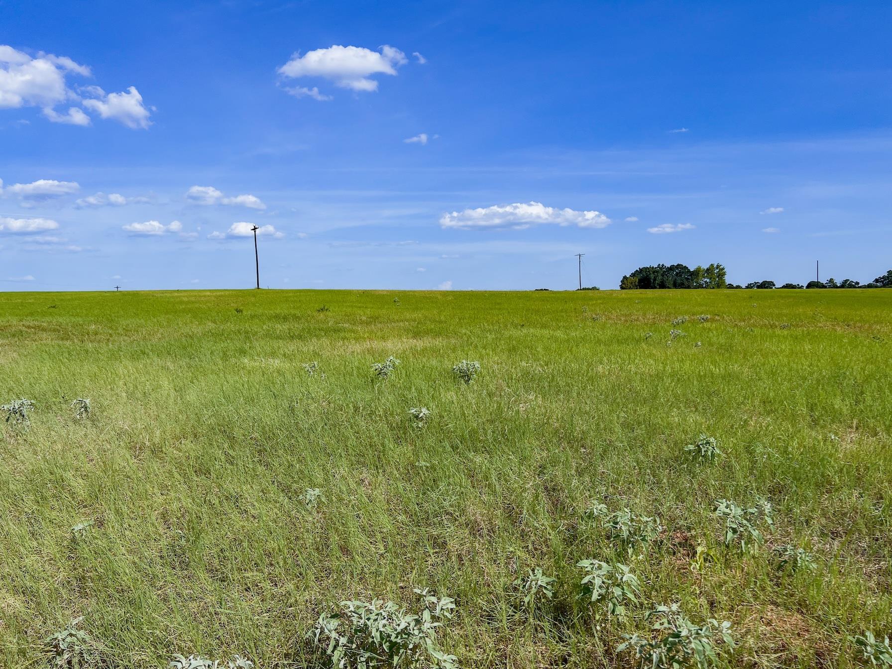 0001 Old McMahan RD, Lockhart, TX 78644 photo 5