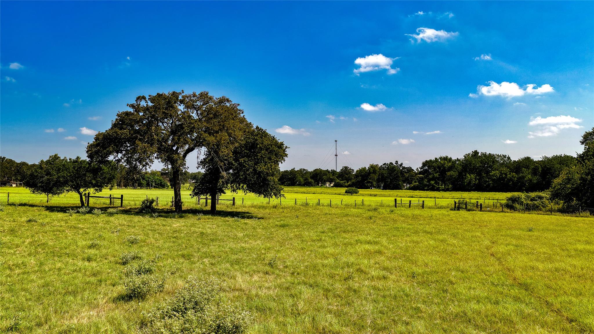 1331 Cameron Ave, Rockdale, TX 76567 photo 2