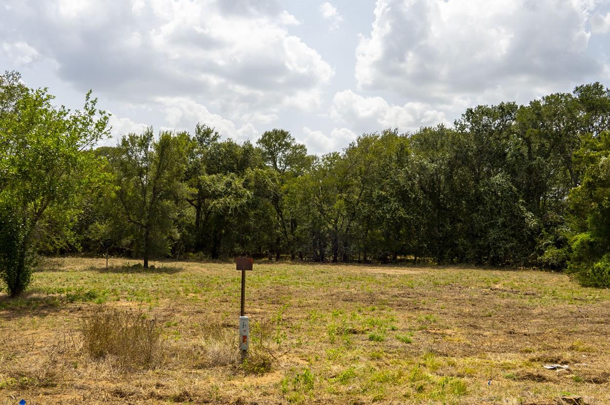 Lot 12 Patti CV, Bastrop, TX 78602 photo 2