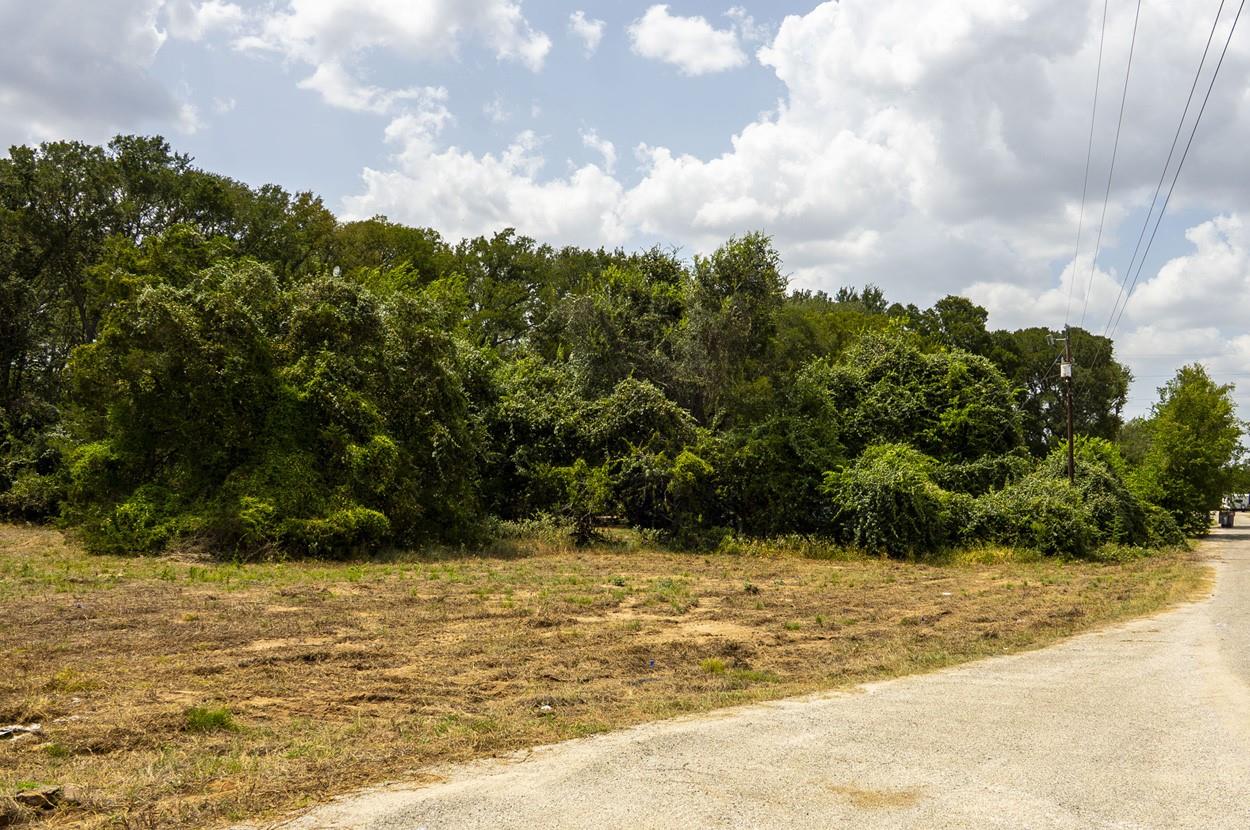 Lot 12 Patti CV, Bastrop, TX 78602 photo 3