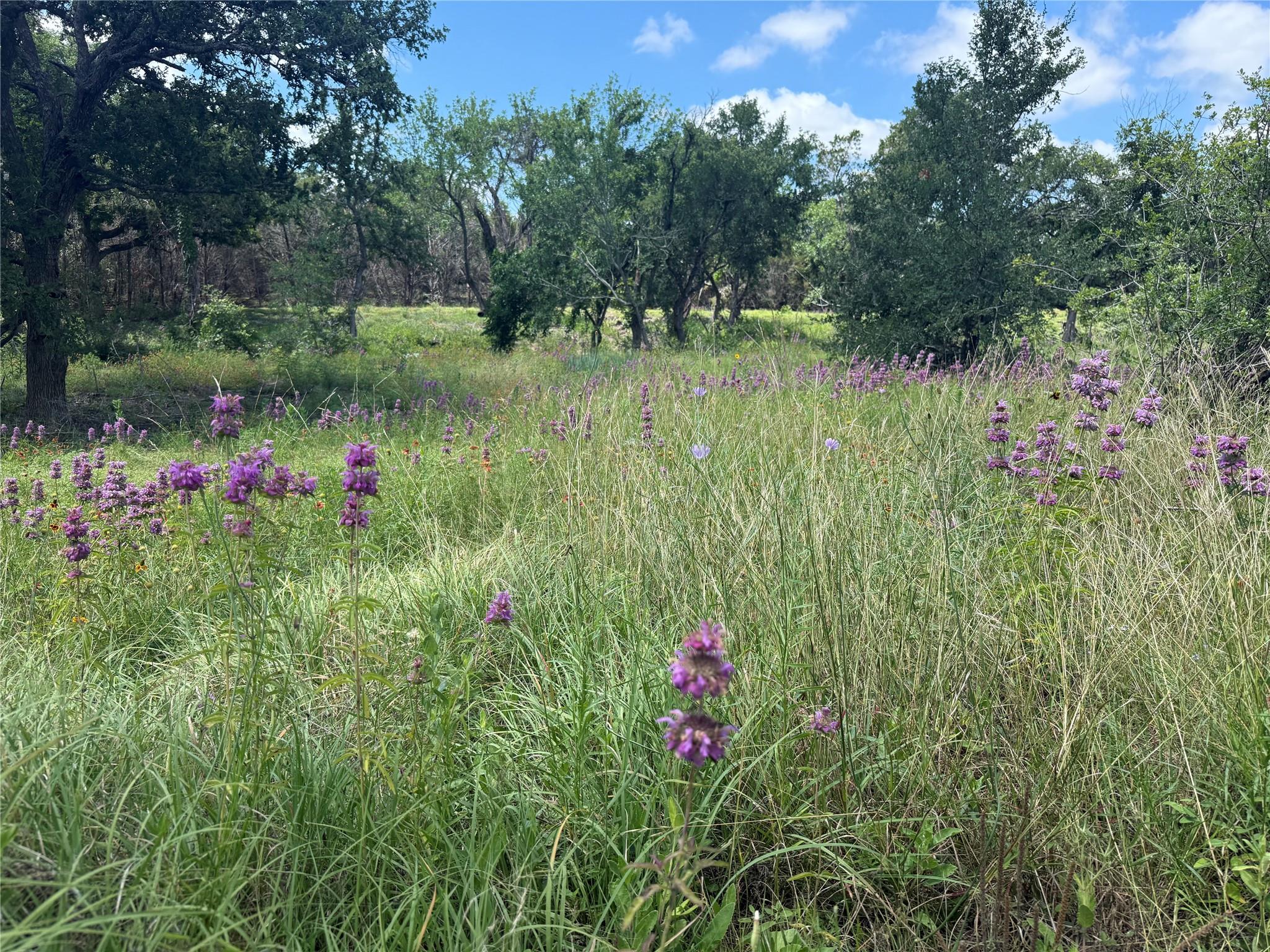 5150 CR 254, Bertram, TX 78605 photo 2