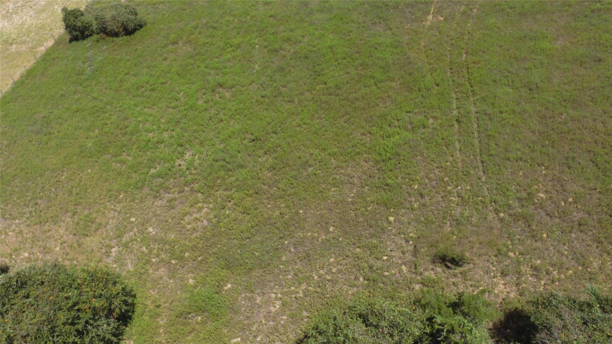 0000 County Road 238A RD, Cameron, TX 76520 photo 5