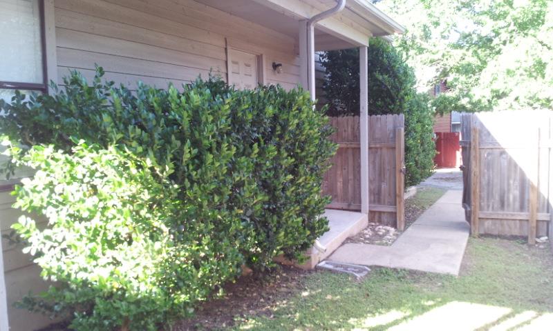 8807 Schick RD #D, Austin, TX 78729 photo 3