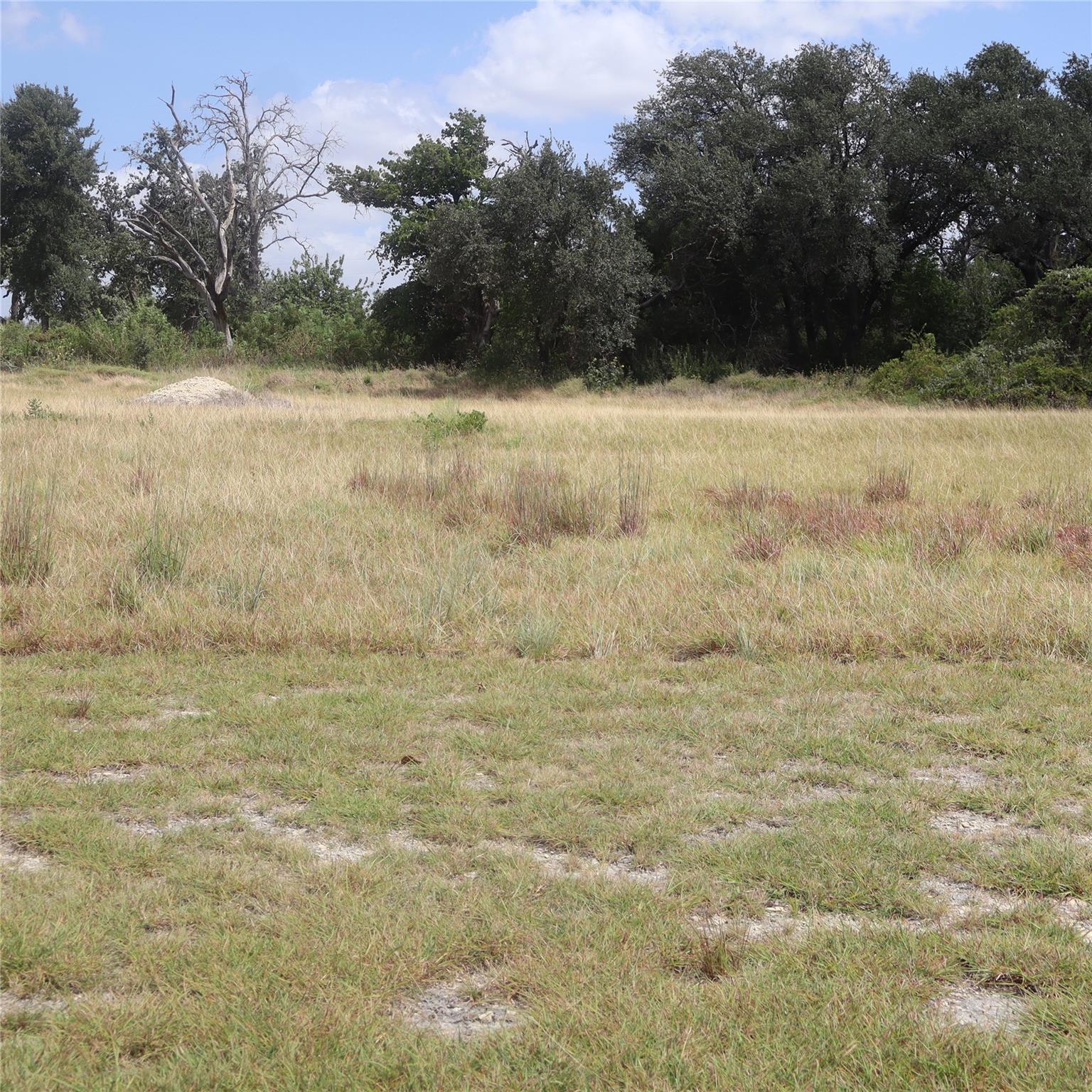 701 Rawhide LN, Florence, TX 76527 photo 3