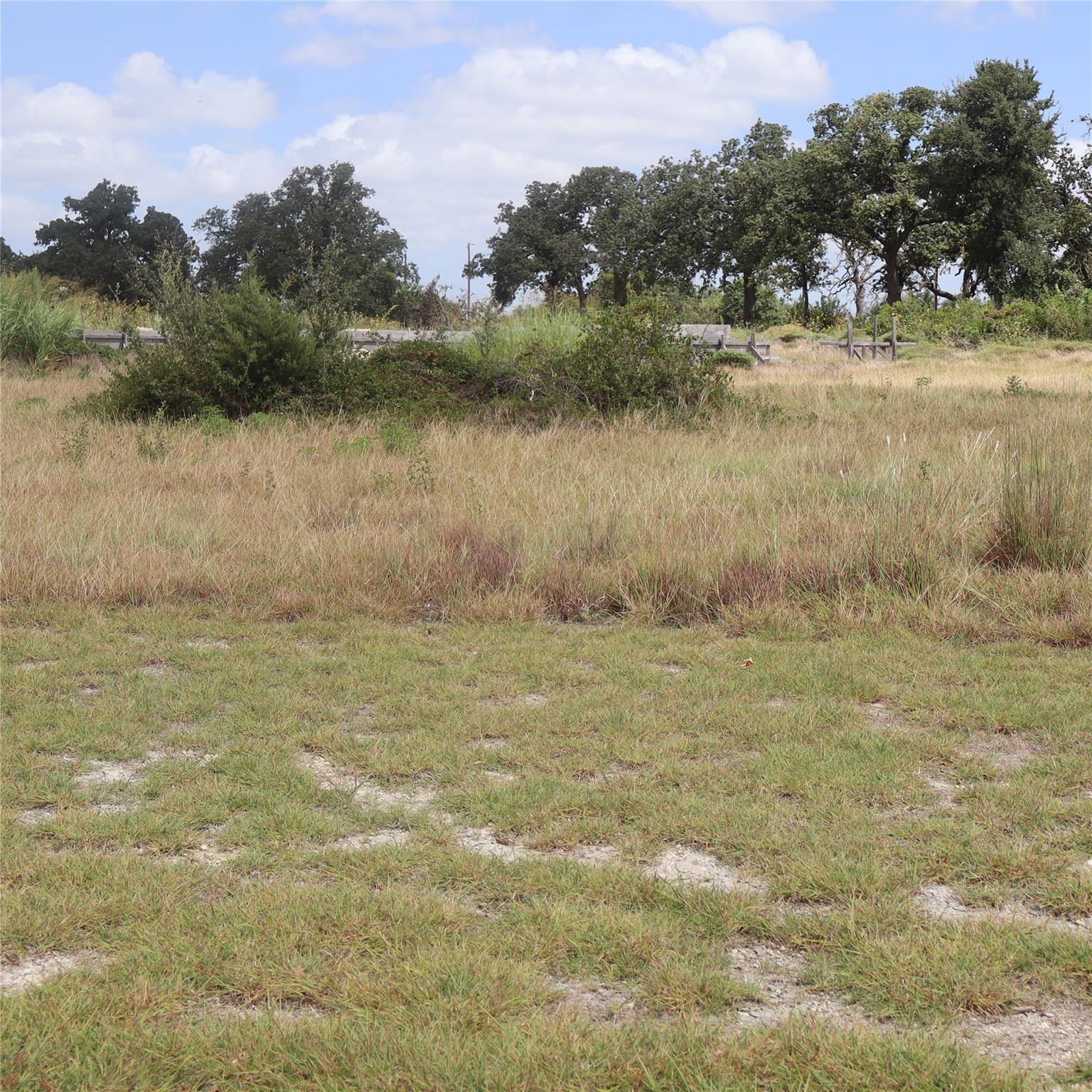 701 Rawhide LN, Florence, TX 76527 photo 4