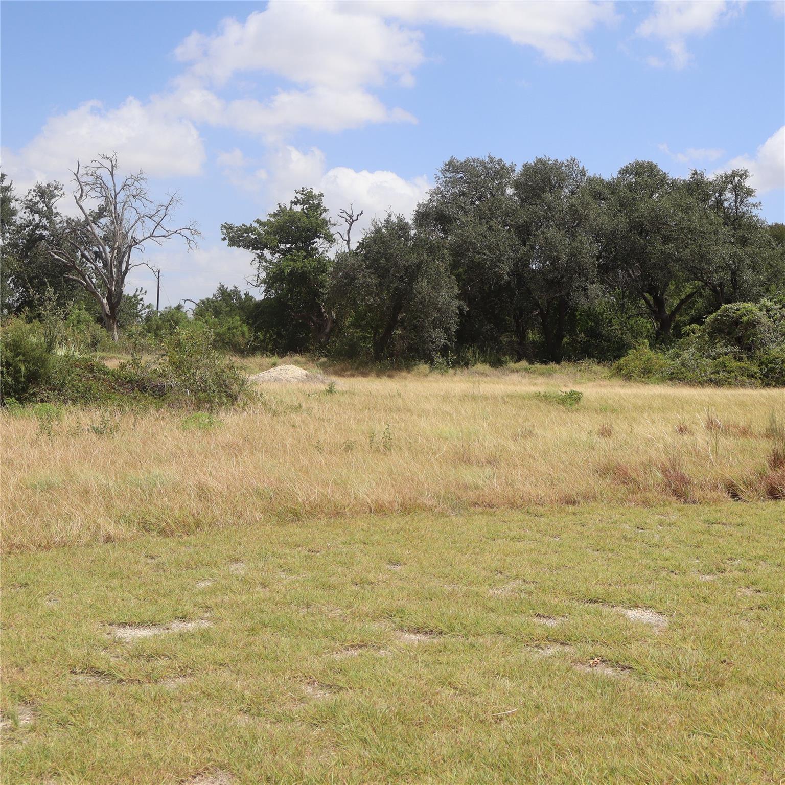 108 Mesones RD, Florence, TX 76527 photo 3
