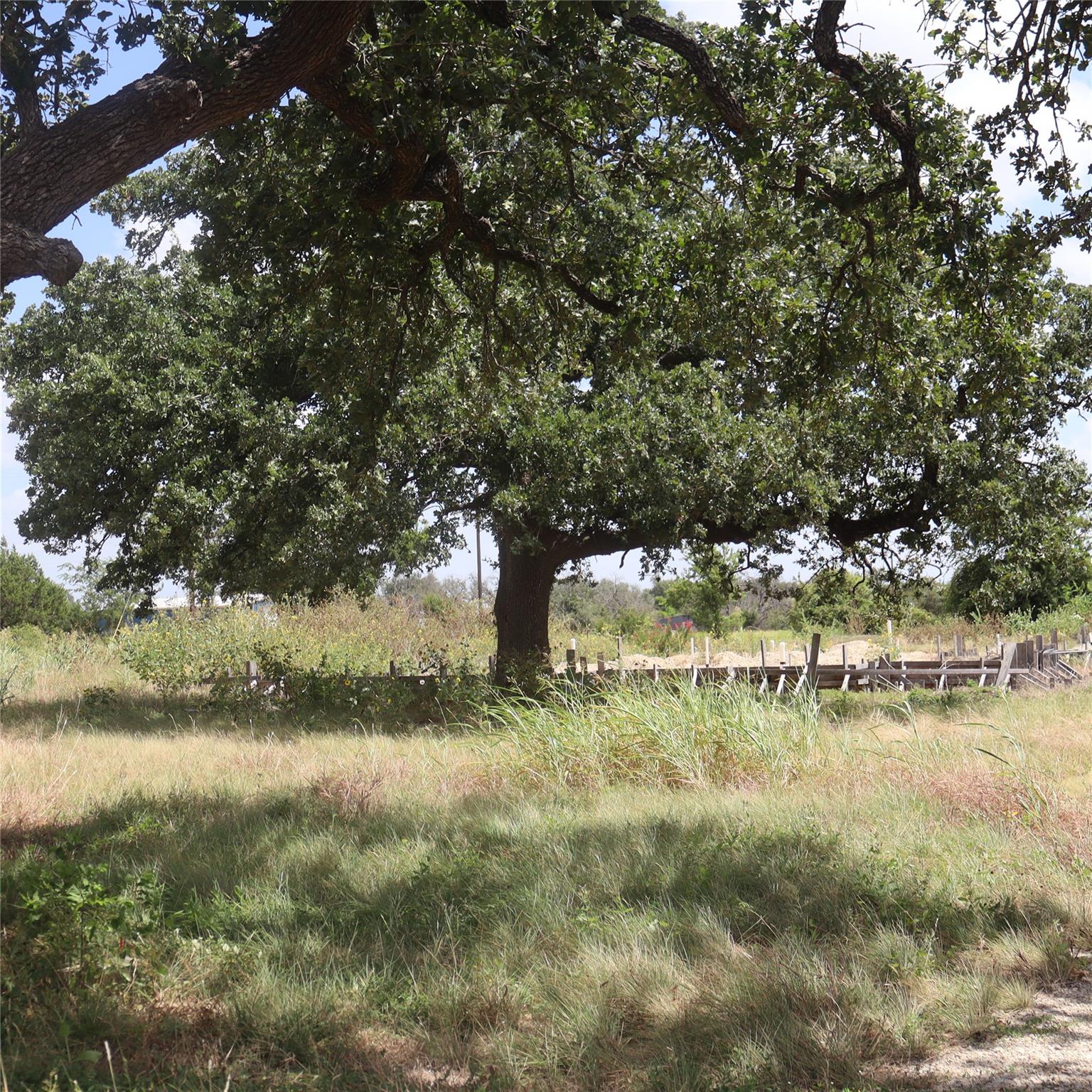 108 Mesones RD, Florence, TX 76527 photo 5