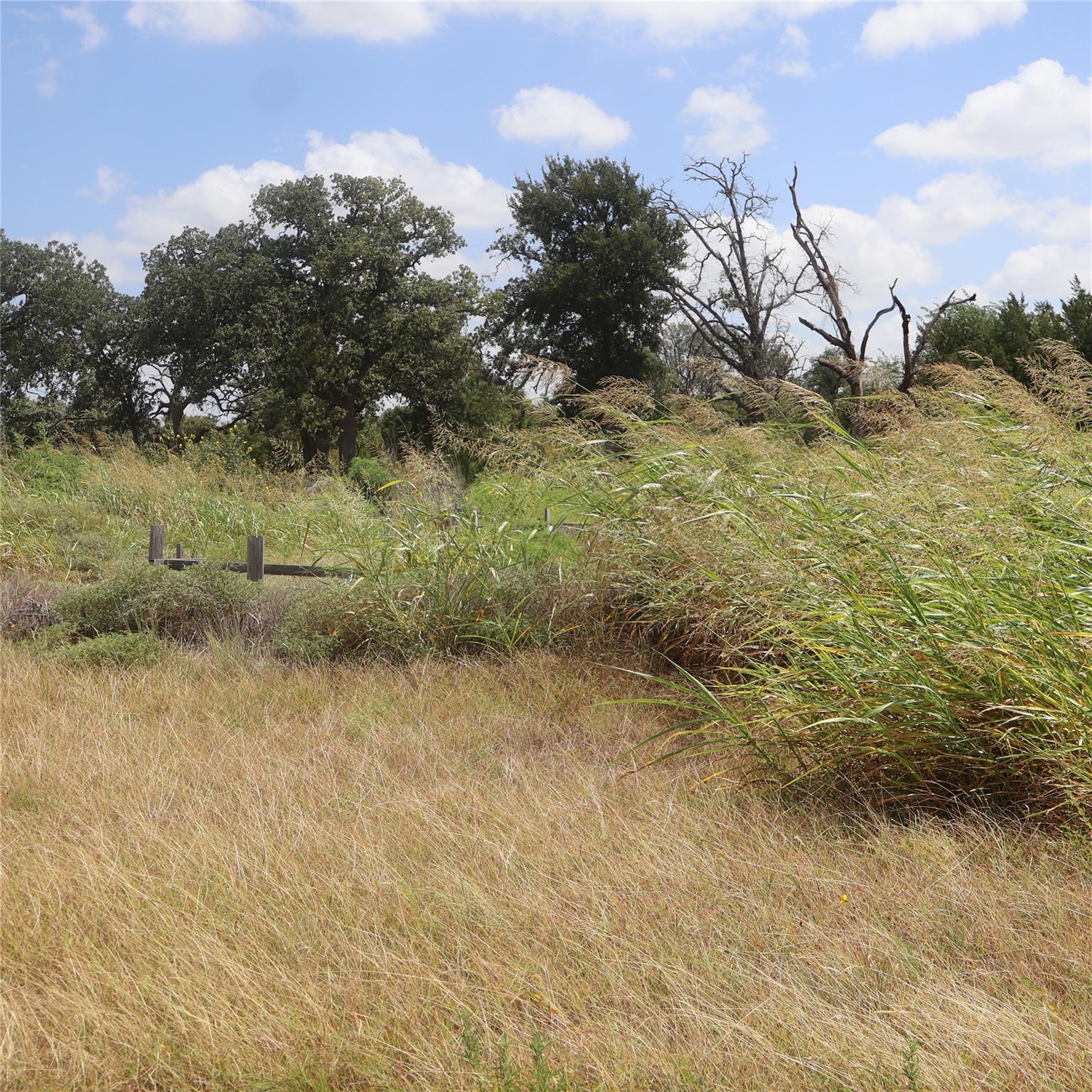 108 Mesones RD, Florence, TX 76527 photo 4