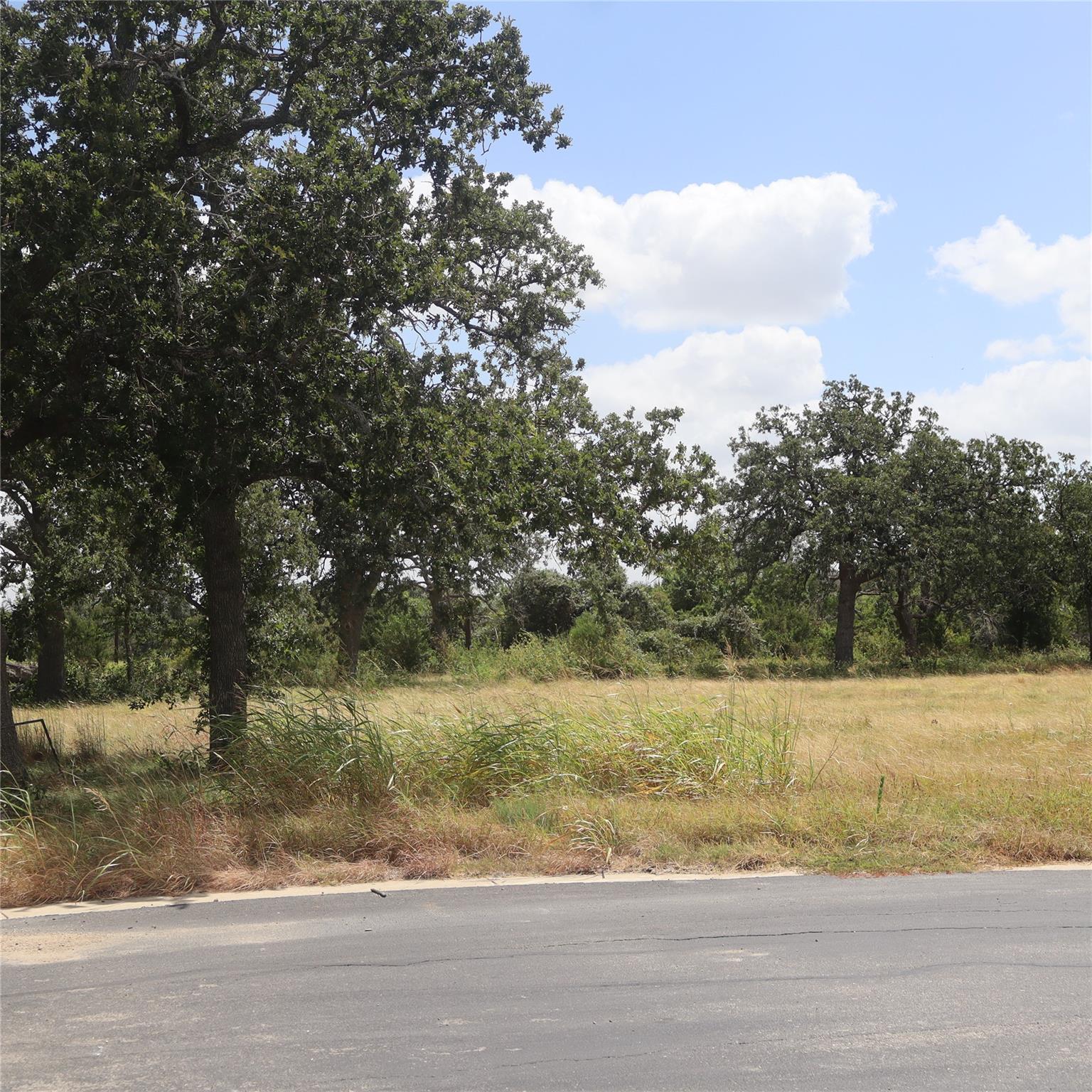 112 Mesones RD, Florence, TX 76527 photo 4